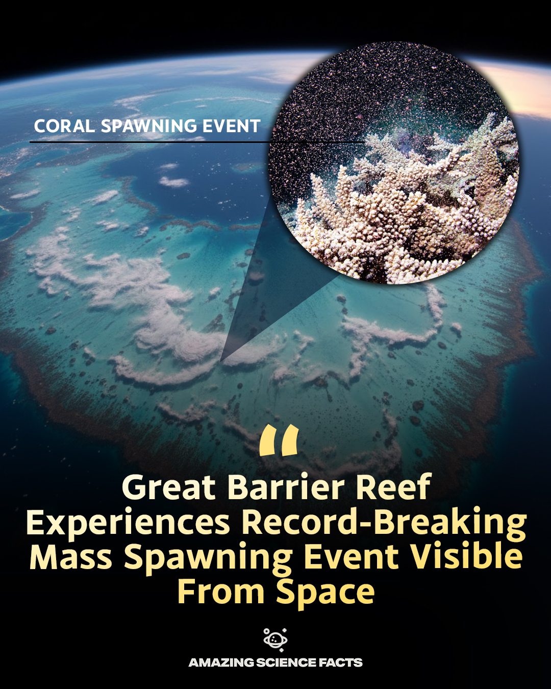 The reef isn’t dead yet. Life... - Amazing Science Facts | Facebook