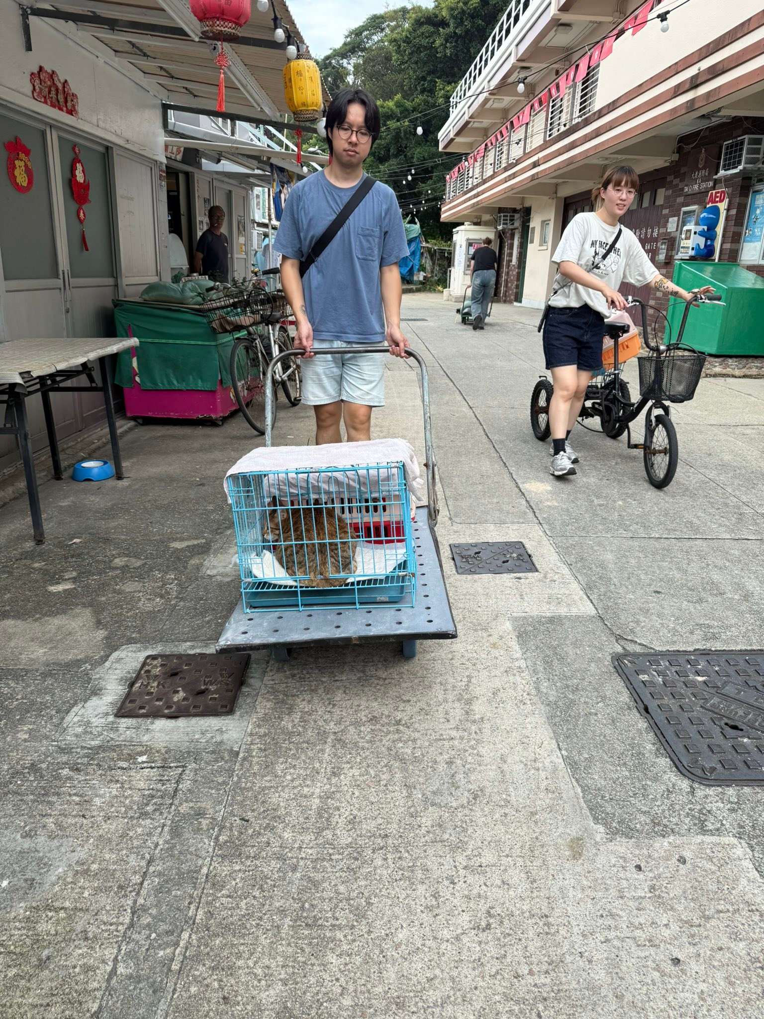 大澳流浪貓之家 - 大澳流浪貓之家 added a new photo.