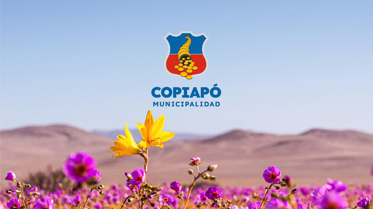 Centro Psicopedagogico... - Centro Psicopedagogico Copiapó