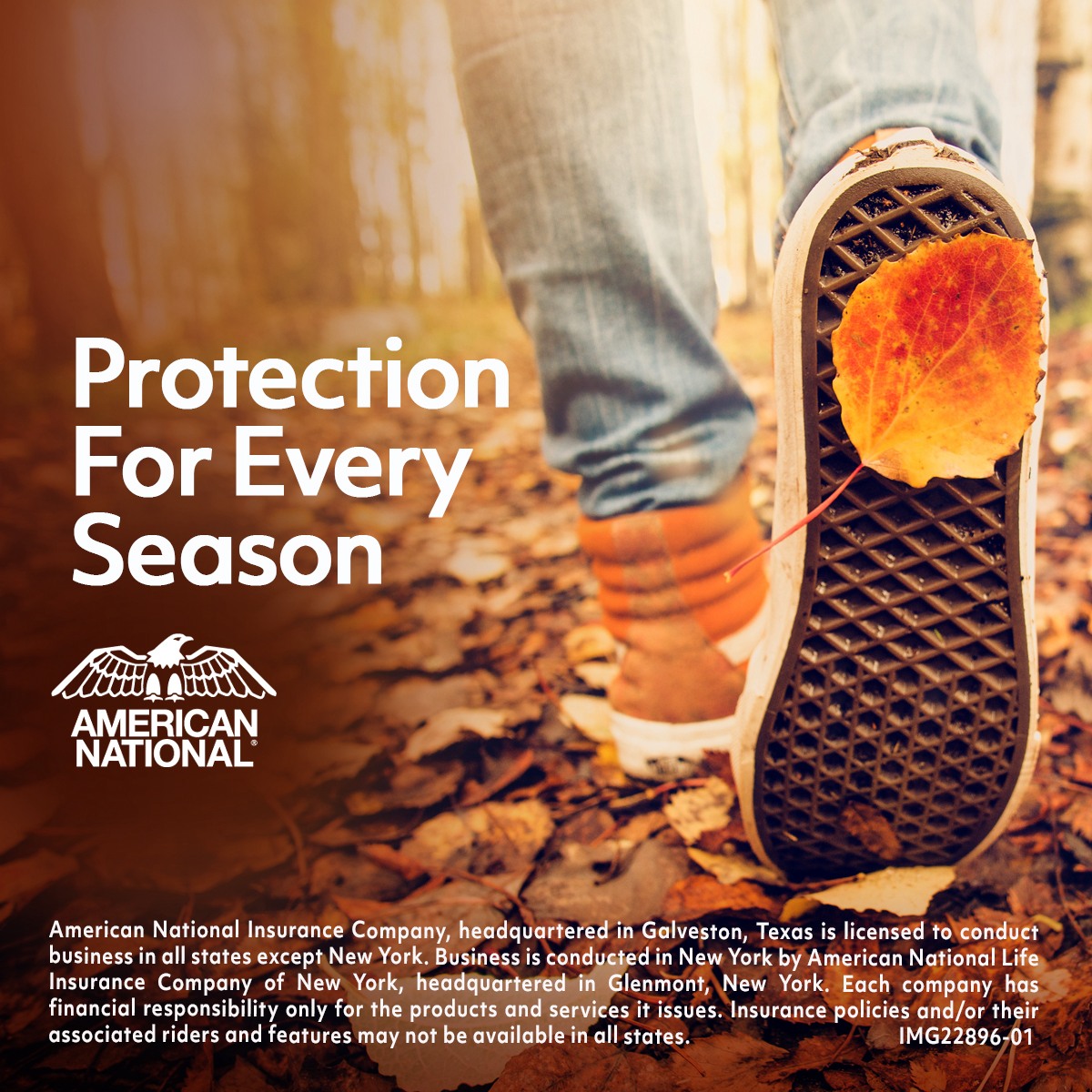 MJMG Insurance Company | Arlington VA