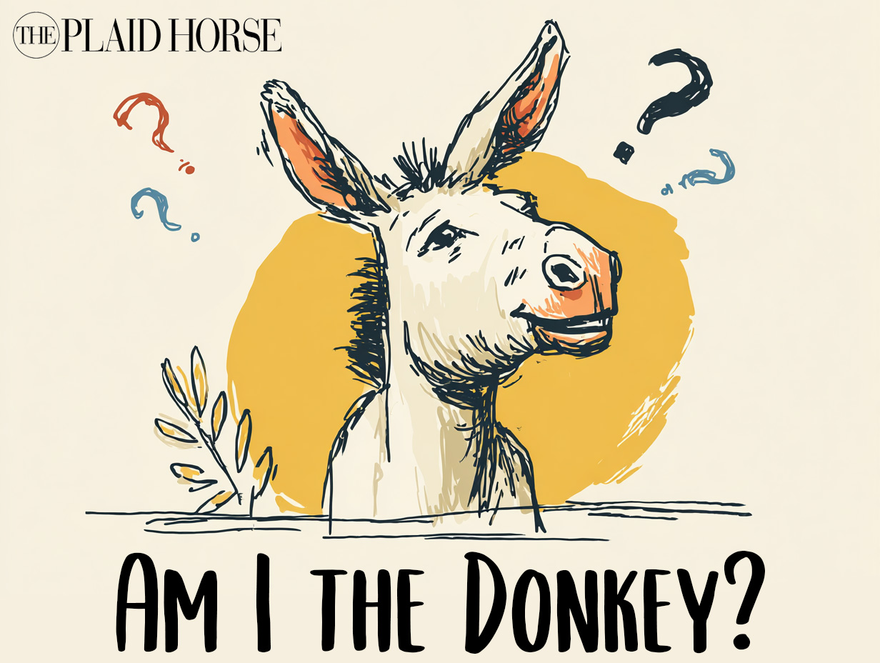 The Plaid - New from our series: Am I the Donkey? After a tough lesson ...