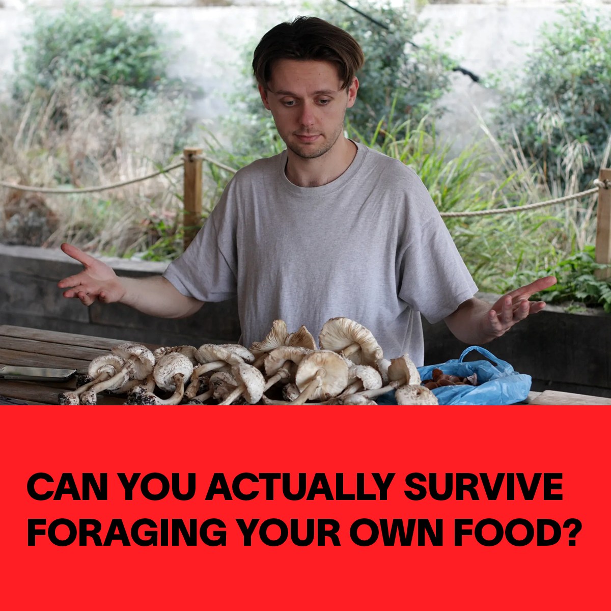 VICE - Groceries are getting expensive. Why not try foraging? | Facebook
