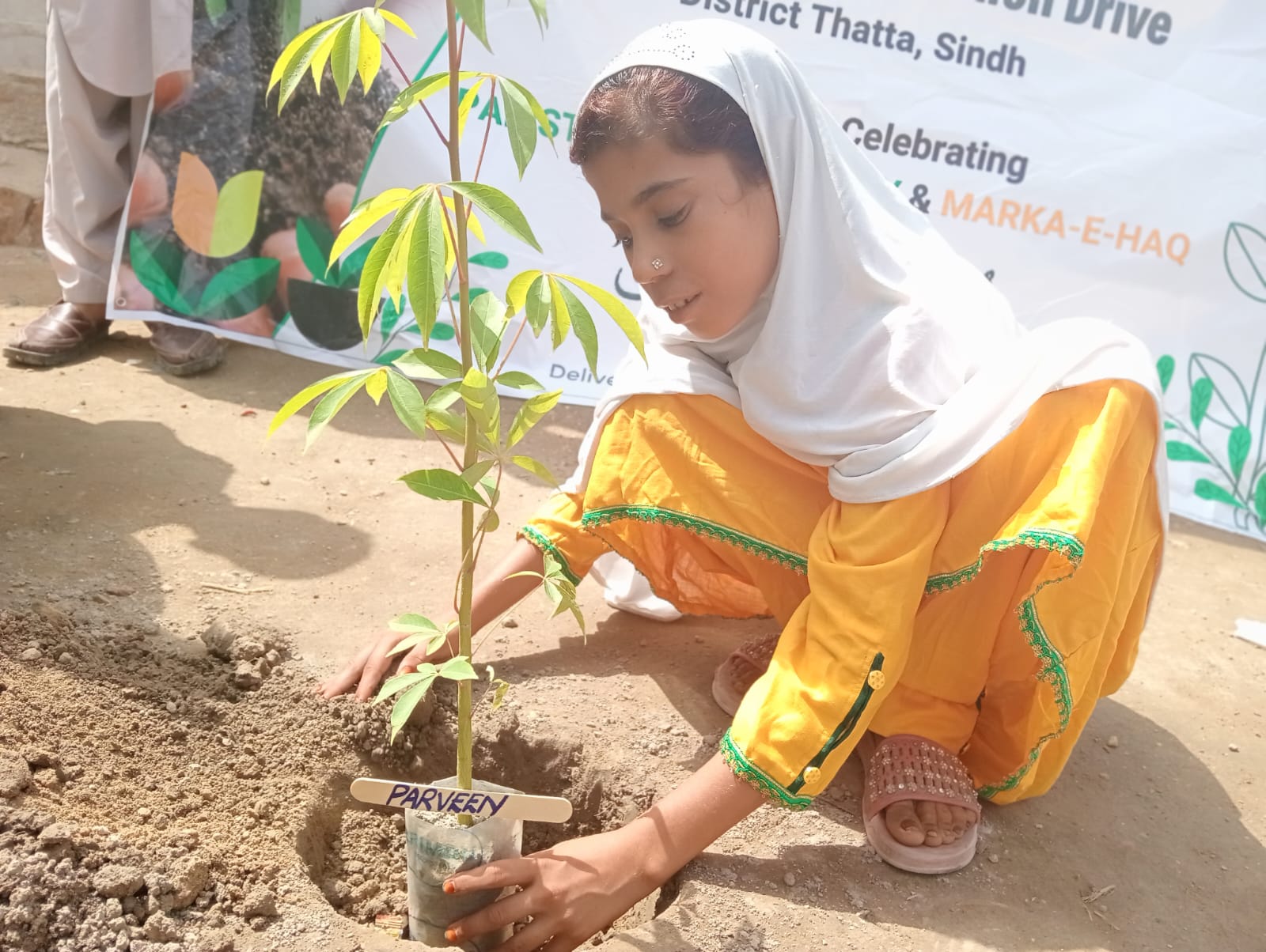 Pakistan Poverty... - Pakistan Poverty Alleviation Fund