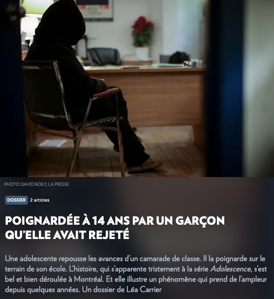 Regroupement des maisons pour femmes victimes de violence conjugale ...