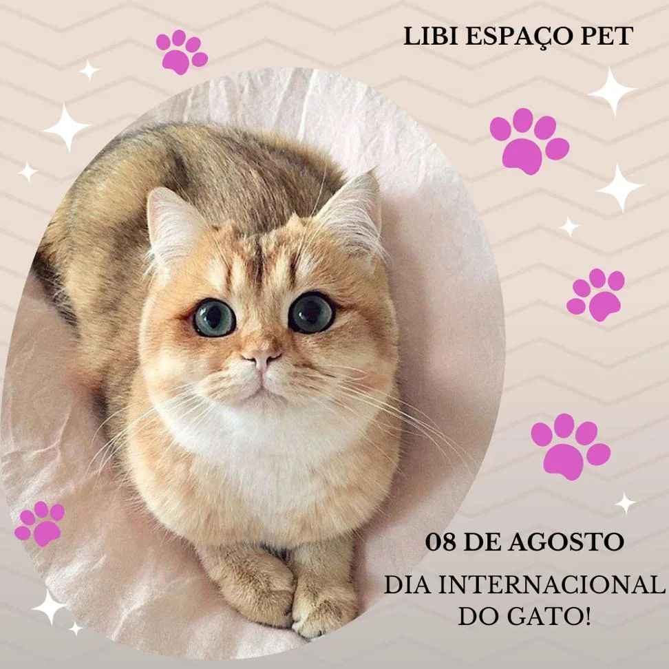Libi Espaço Pet | São Caetano do Sul SP