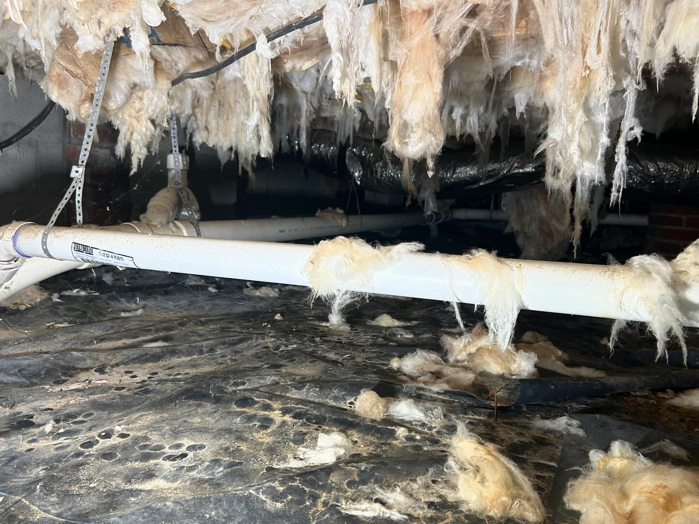 Carolina Crawl Space Services