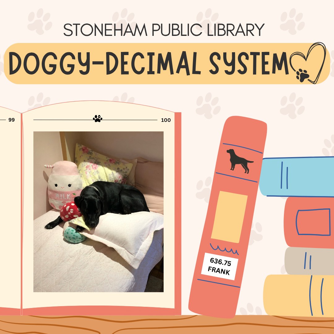 Welcome to the 🐾 Stoneham... - Stoneham Public Library | Facebook
