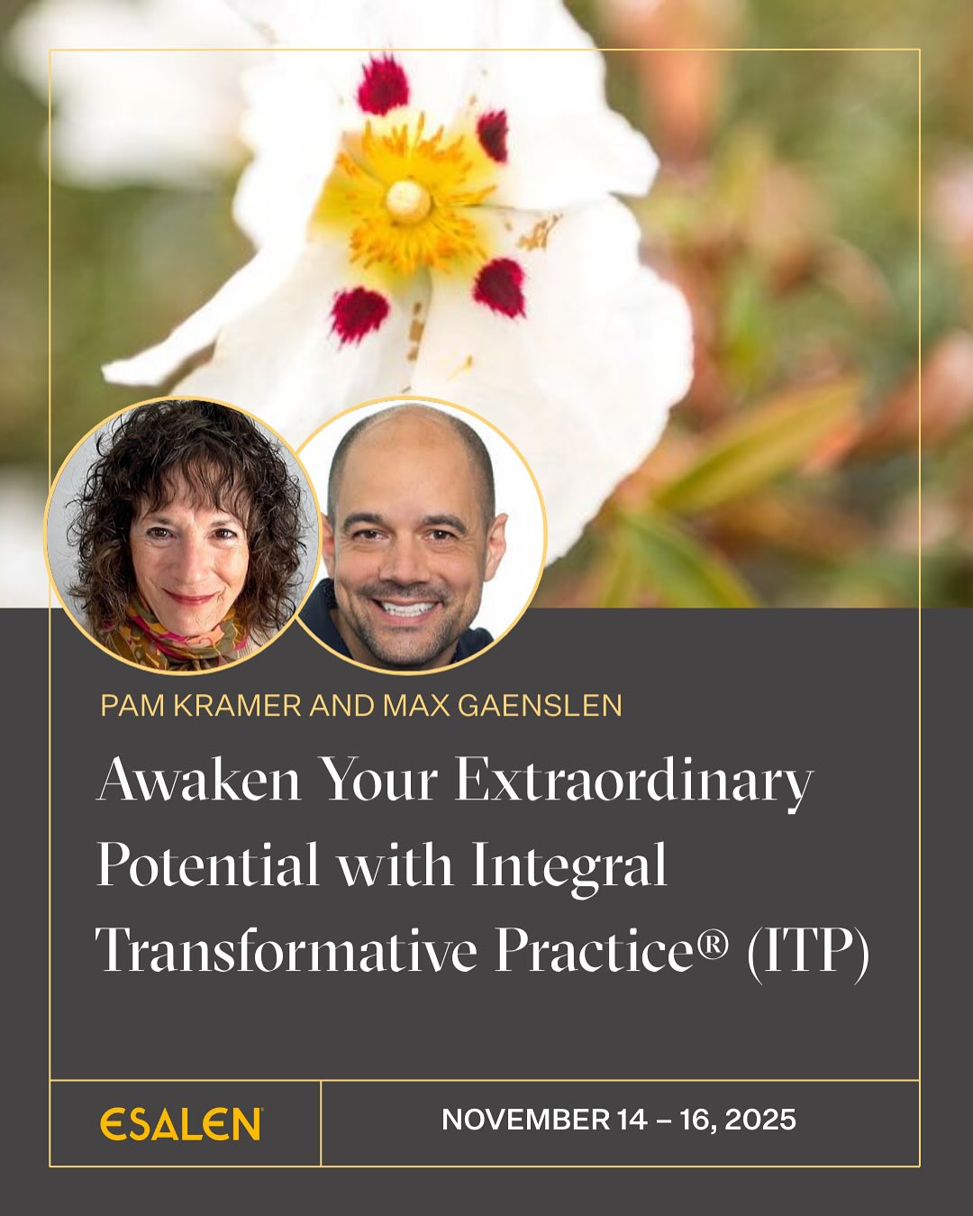 Esalen - Esalen added a new photo.