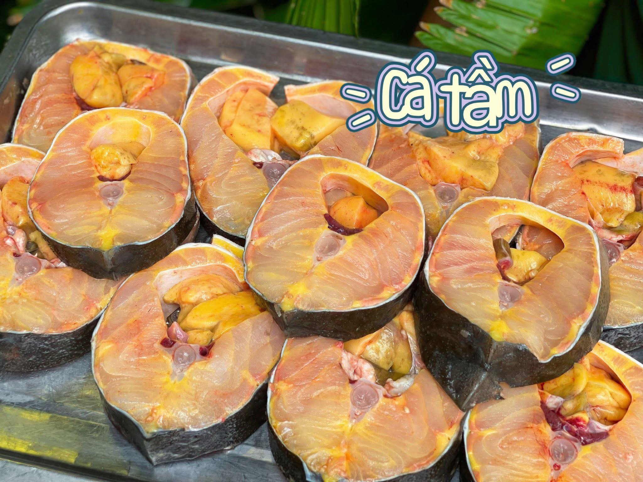 An Phú Farm - Cá Tầm Sapa vàng óng, tươi ngon (cá về tới... | Facebook
