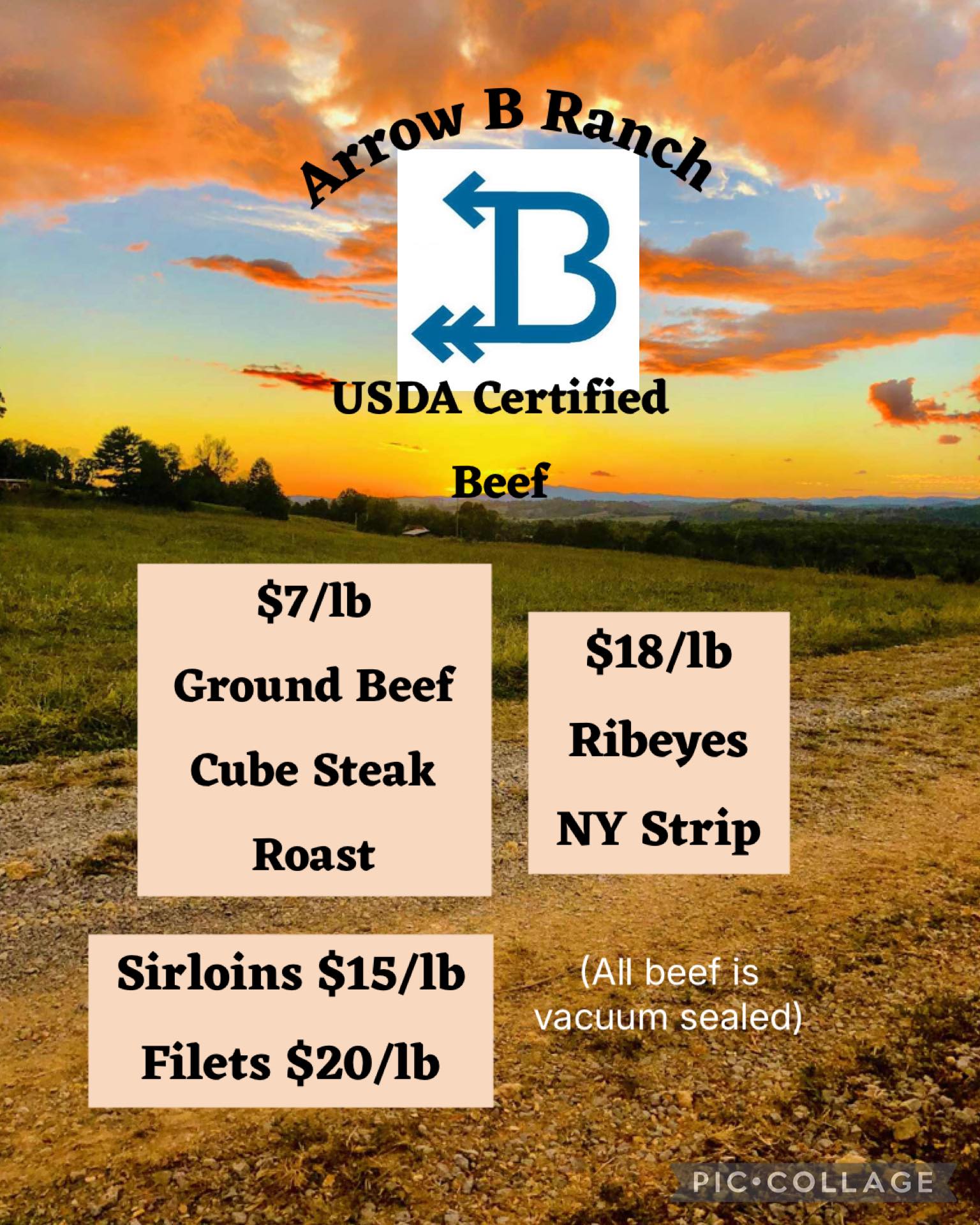 Arrow B Ranch, LLC | Jonesville VA