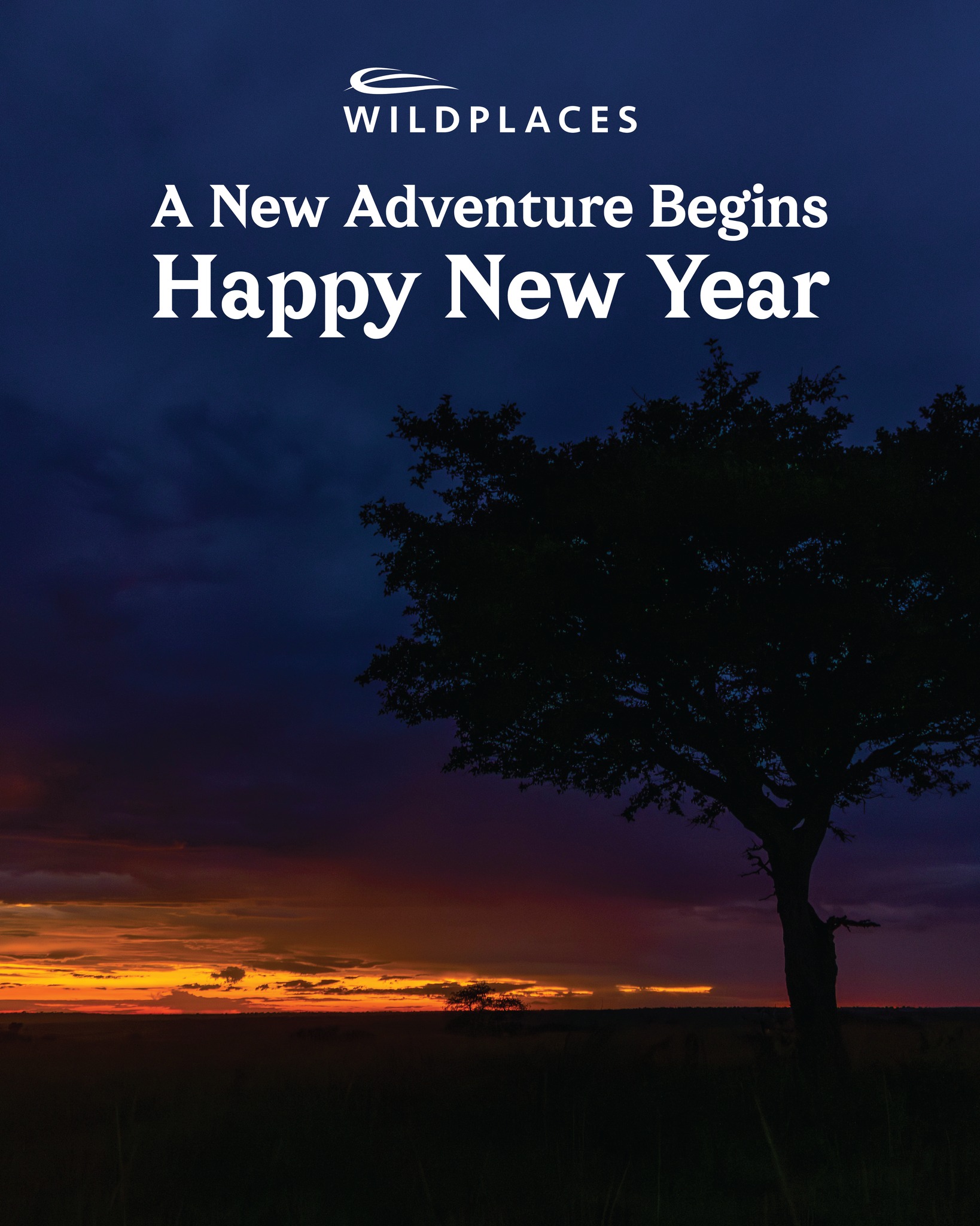 Wildplaces - New Year, new wild stories. 🥂 Start 2026 with Africa’s ...