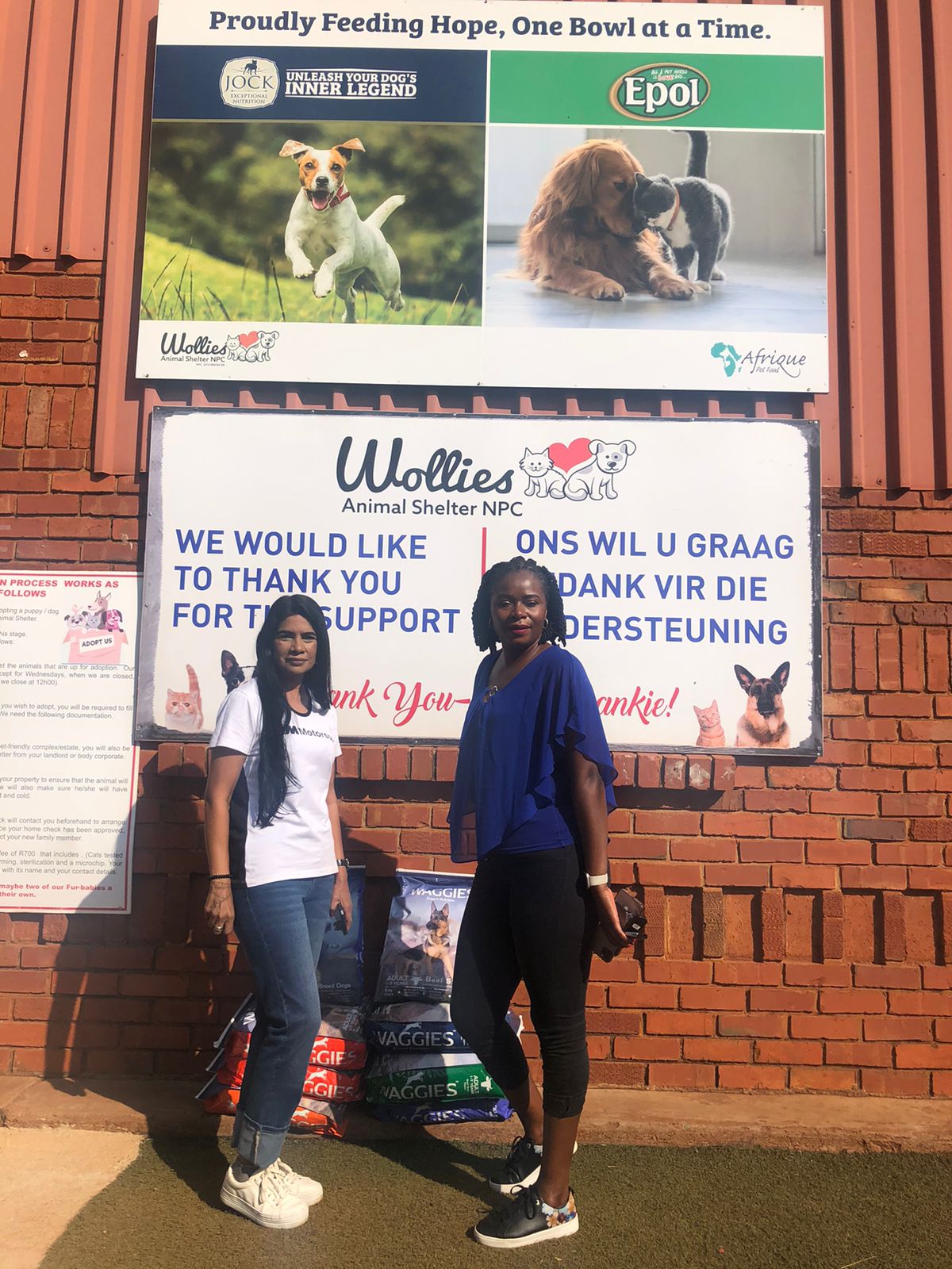 wollies-animal-project-added-a-wollies-animal-project