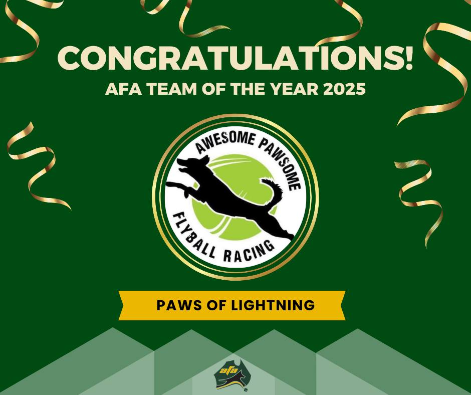 Awesome Pawsome Flyball Racing