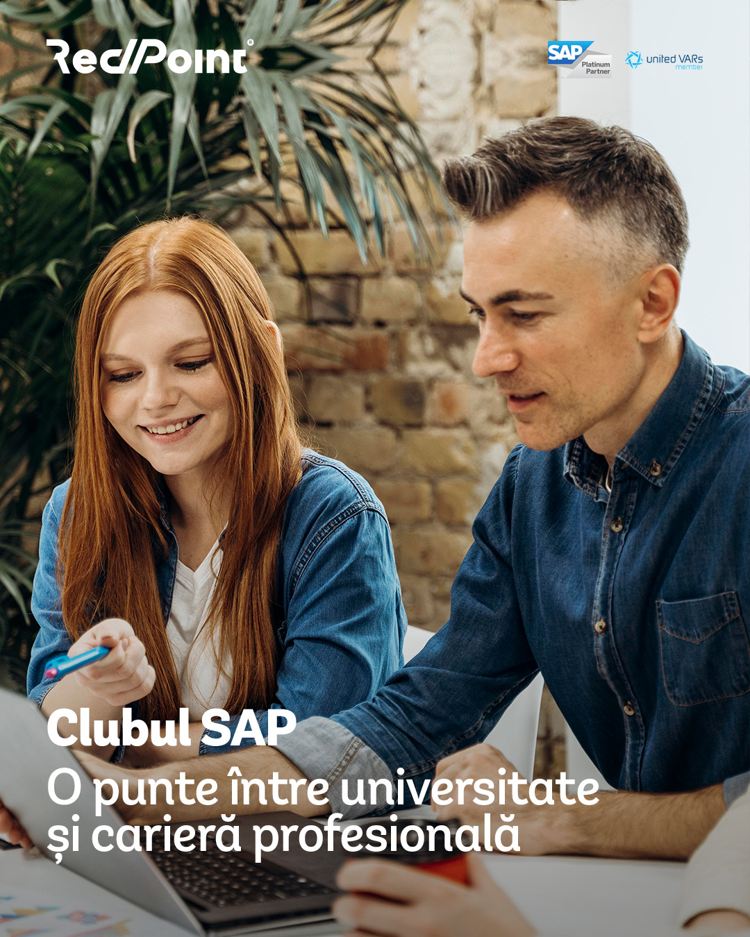 Red Point Software Solutions | Iasi