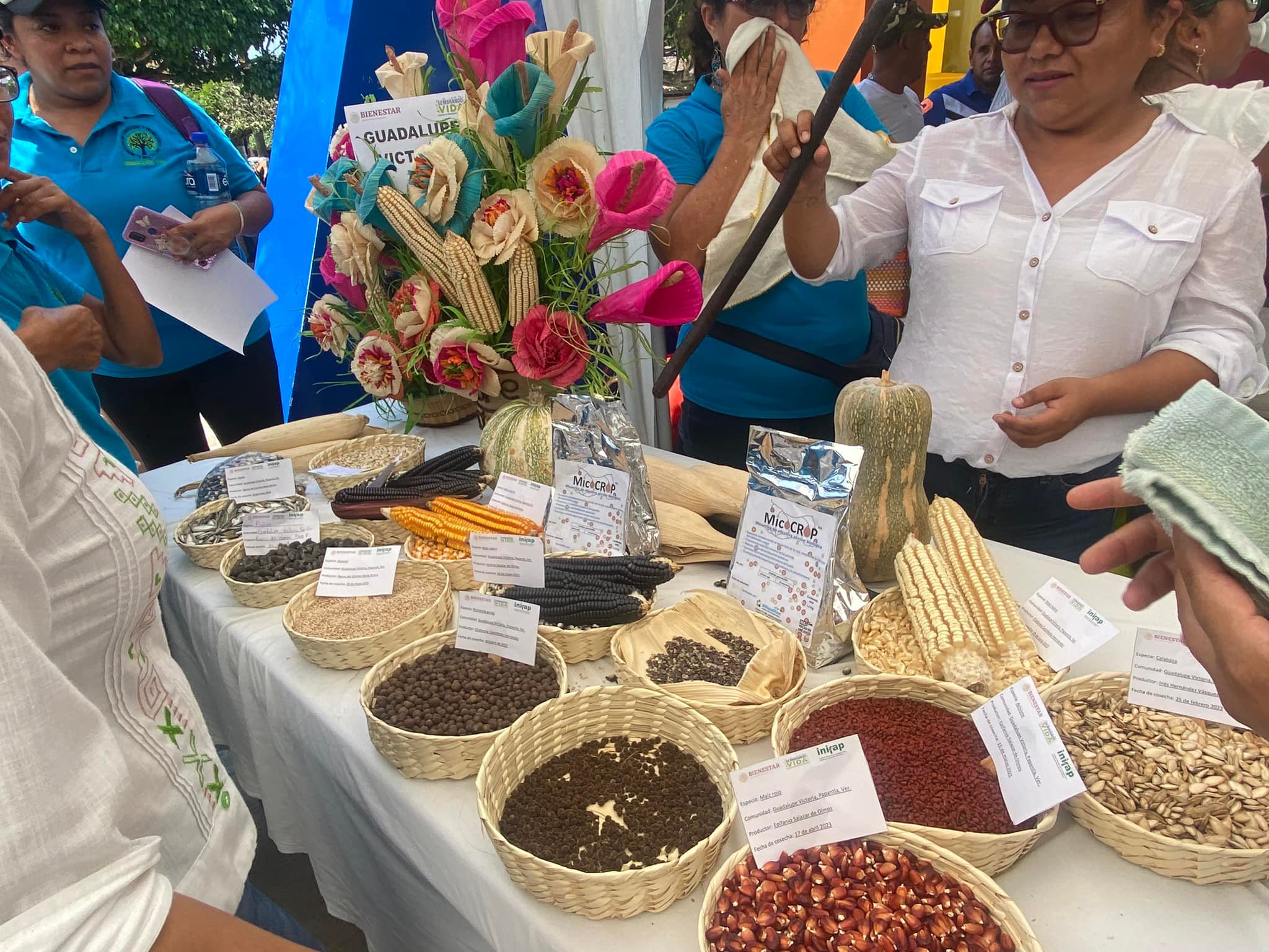 Sembrando Vida Territorio Papantla