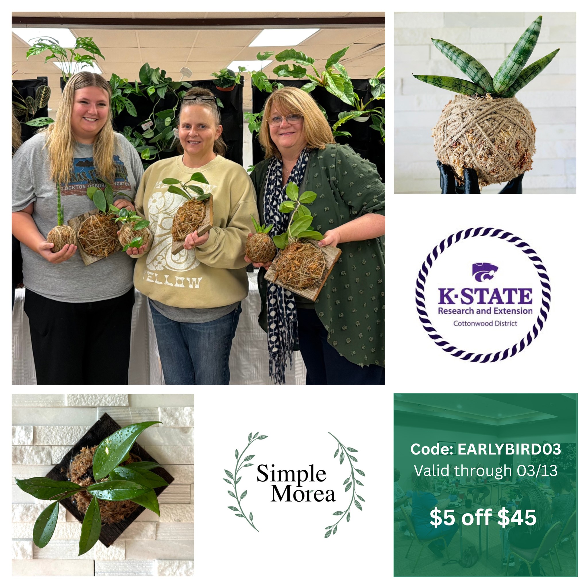 Workshop - Kokedama & Wall Mounted Art