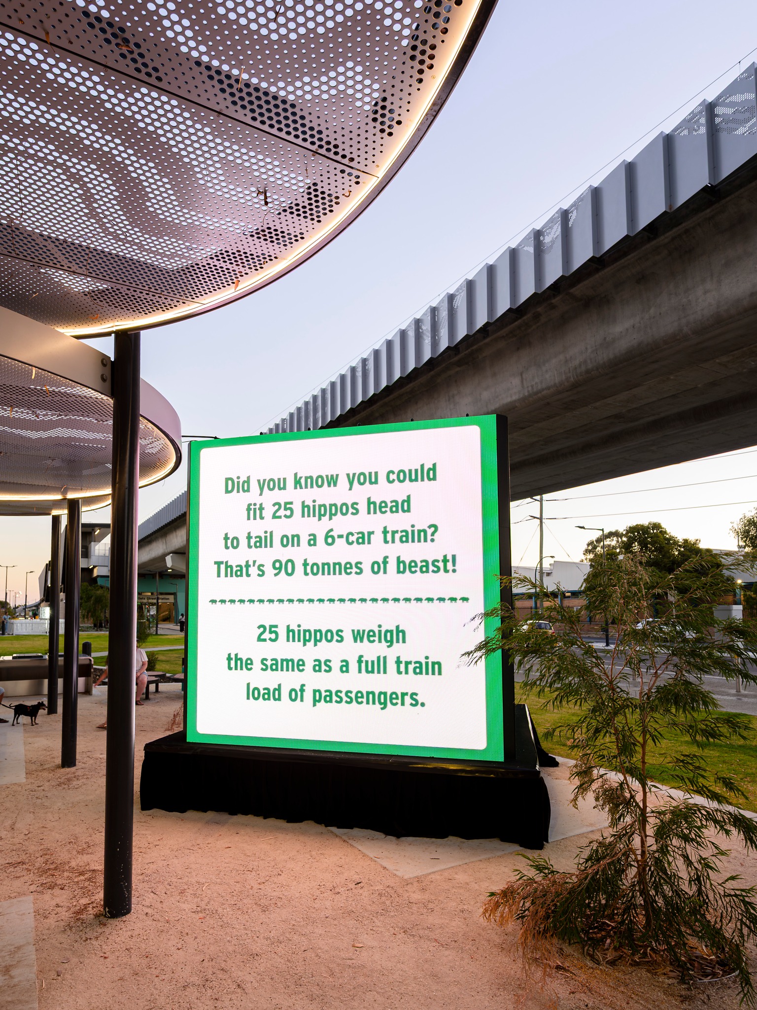 Transperth - Illuminate The Journey is lighting up Long... | Facebook