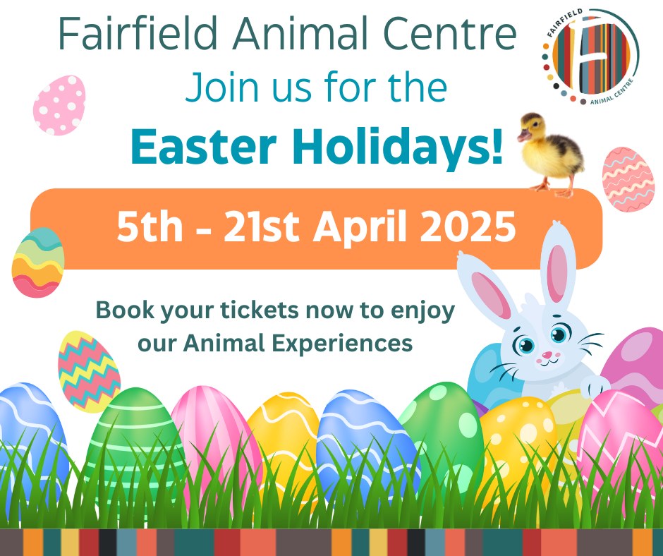 🐣 Visit us between 5th - 21st... - Fairfield Animal Centre | Facebook