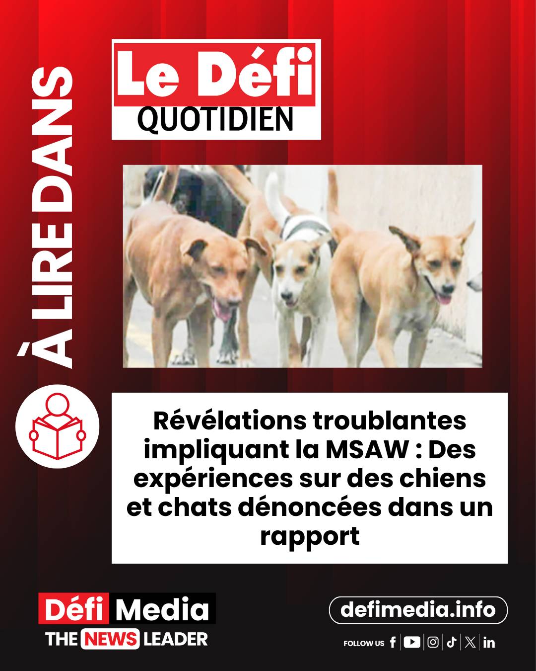 Defimedia.info - 🗞️ [À lire dans Le Défi Quotidien]... | Facebook