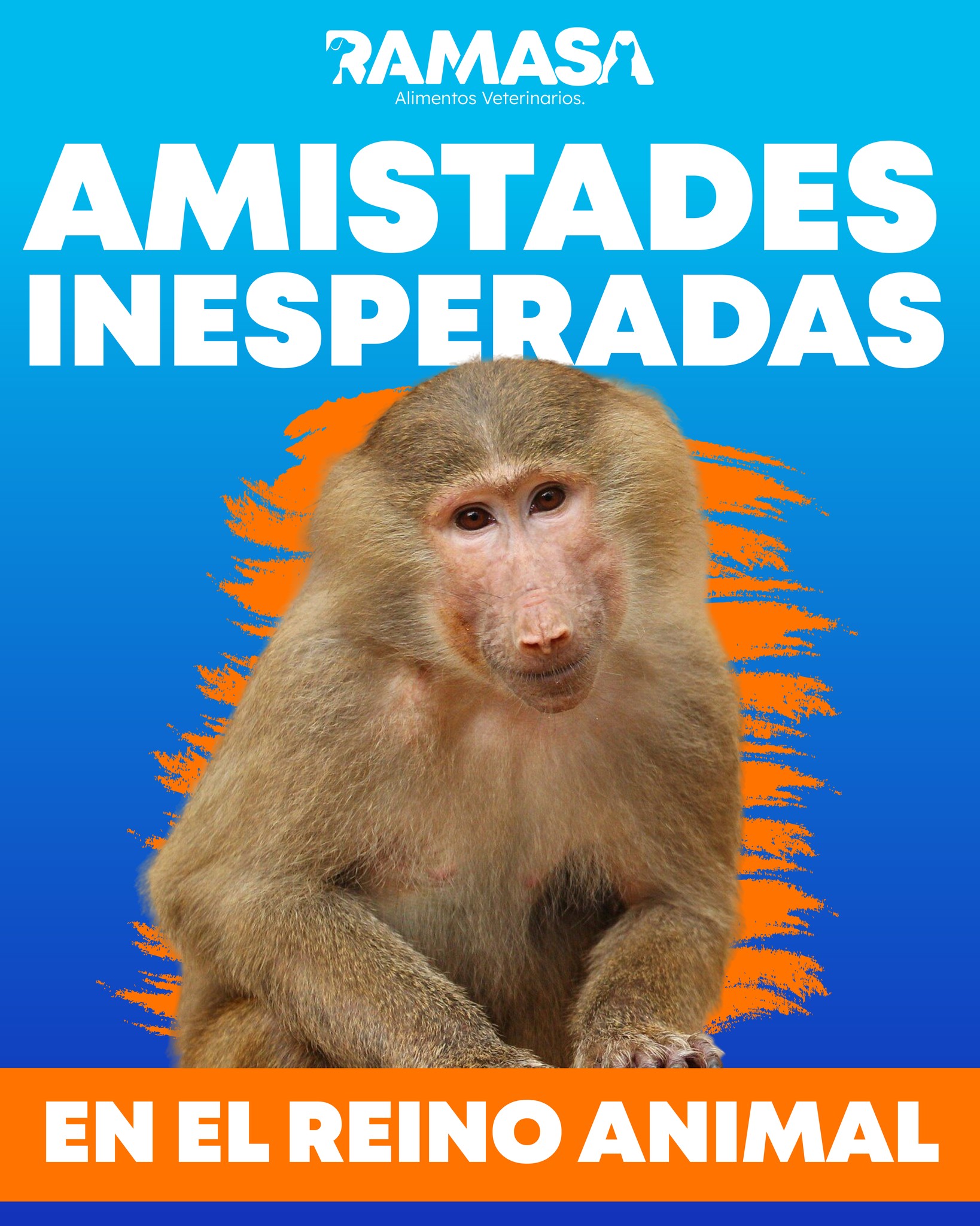 Ramasa - ¿Qué significa esto para la etología veterinaria?... | Facebook