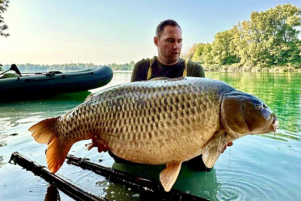 🚨37.70 kg 🚨 swim n 2... - Atlantide fishing & Predator Park | Facebook