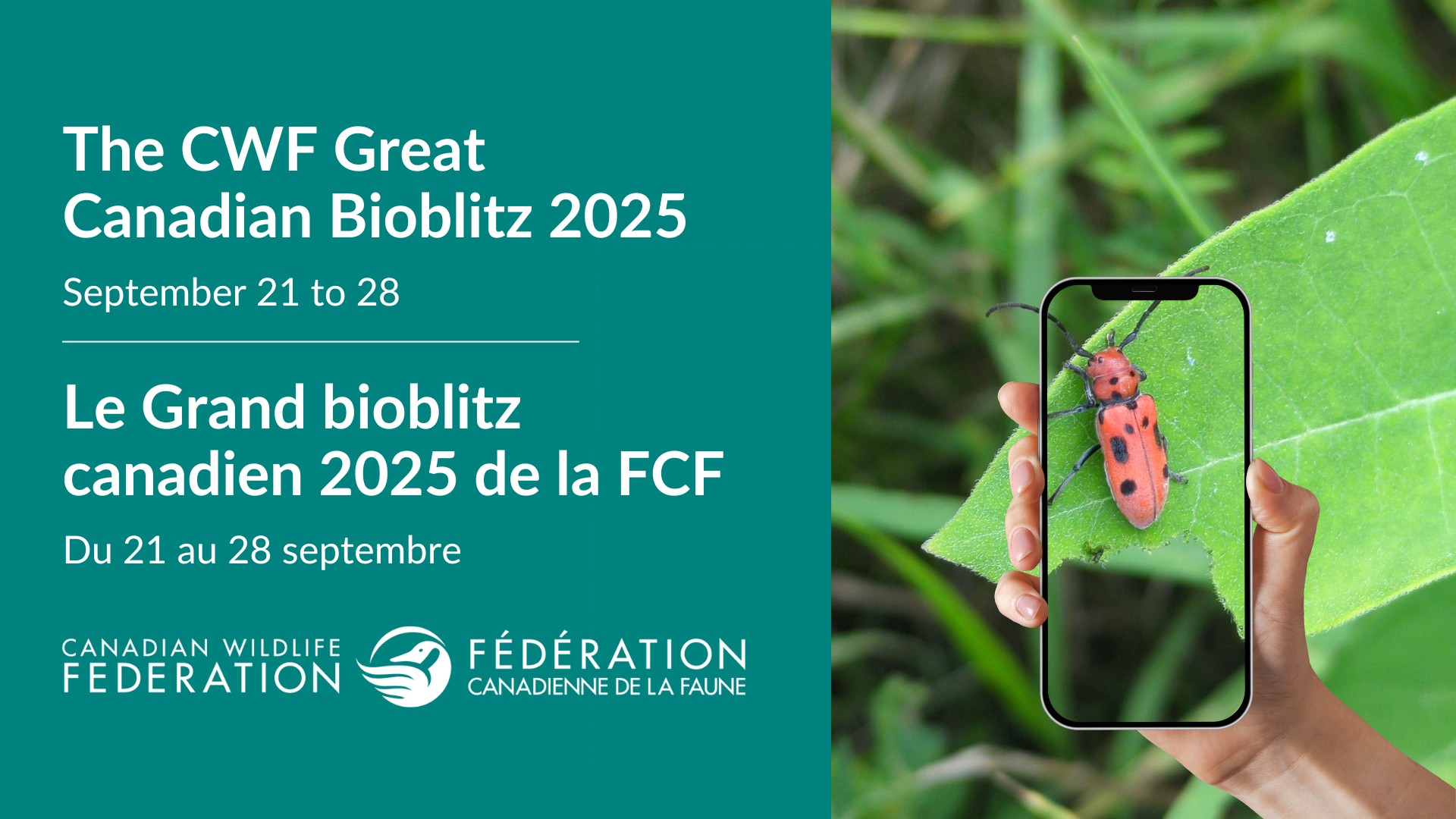 🌿 The Great Canadian Bioblitz 2025 starts today! From Sept 21 to 28 ...