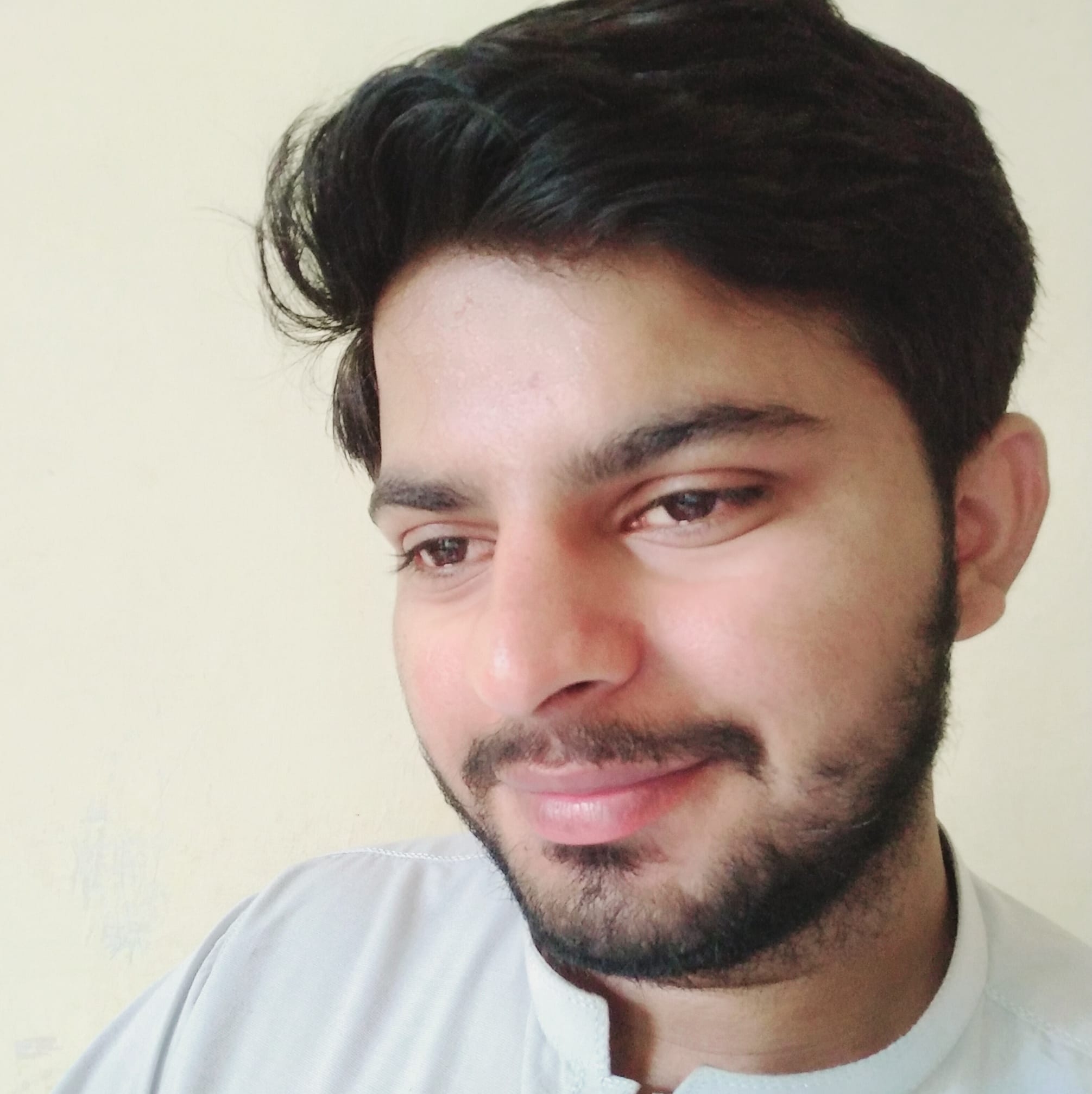 Raees Hussain Ch