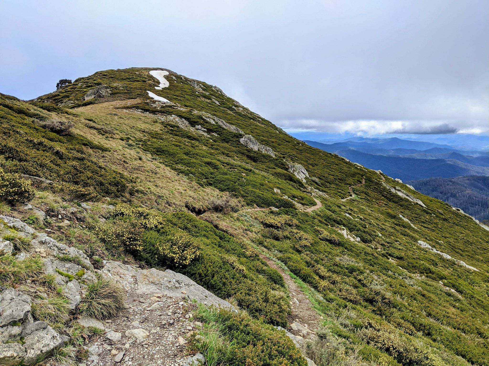 Australian Alps Walking Track | The ParksVic Volunteer Track Ranger ...