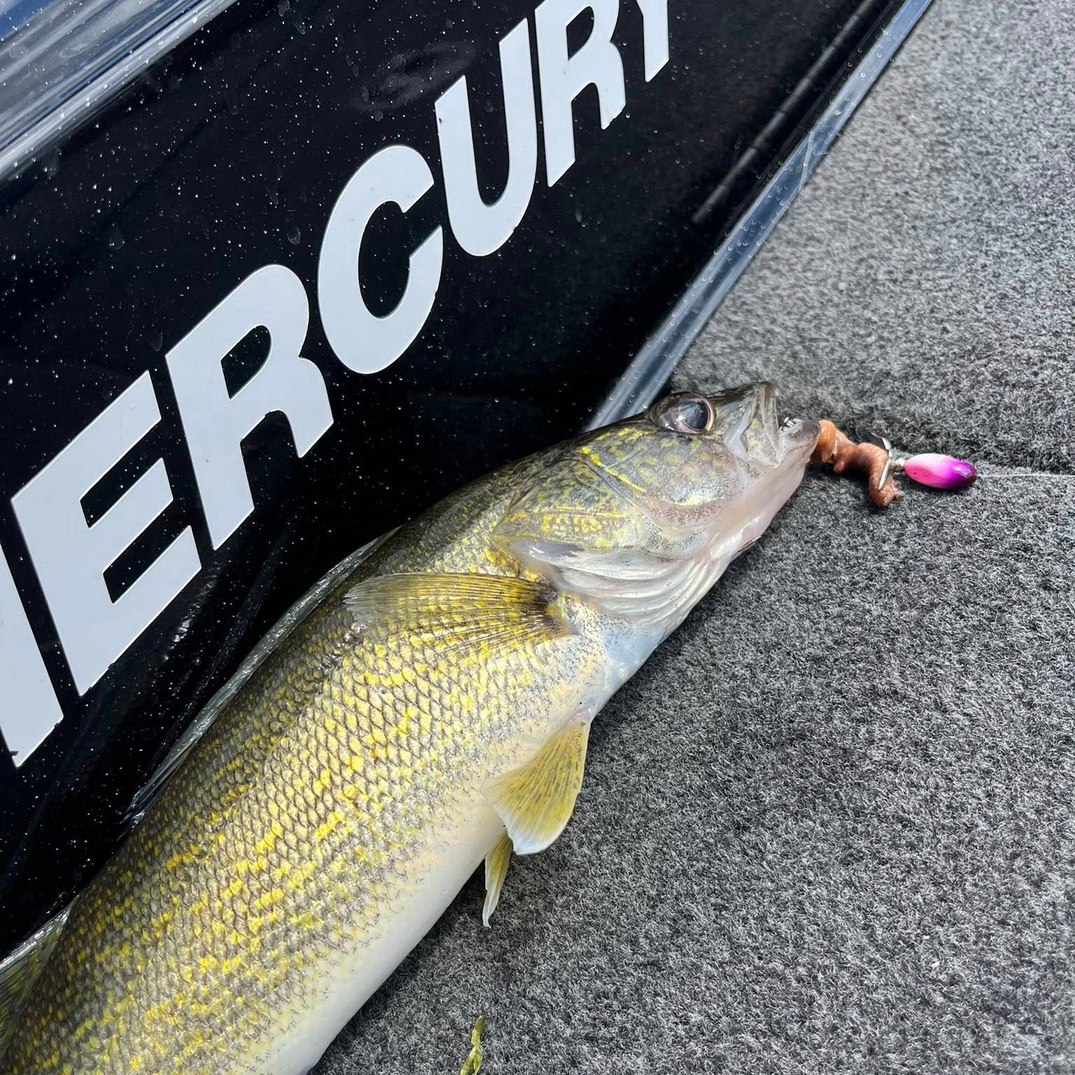 bad pro shop fishing pole FISHAPPY Saltwater Offshore Straight Butt Trolling Rod Big Game Rod Conventional Boat (5'1'' - 50-80lbs Color and Size:Fiddler 1/4oz. Penn 6/0 matches with with all the benefits Crankbait Rods
