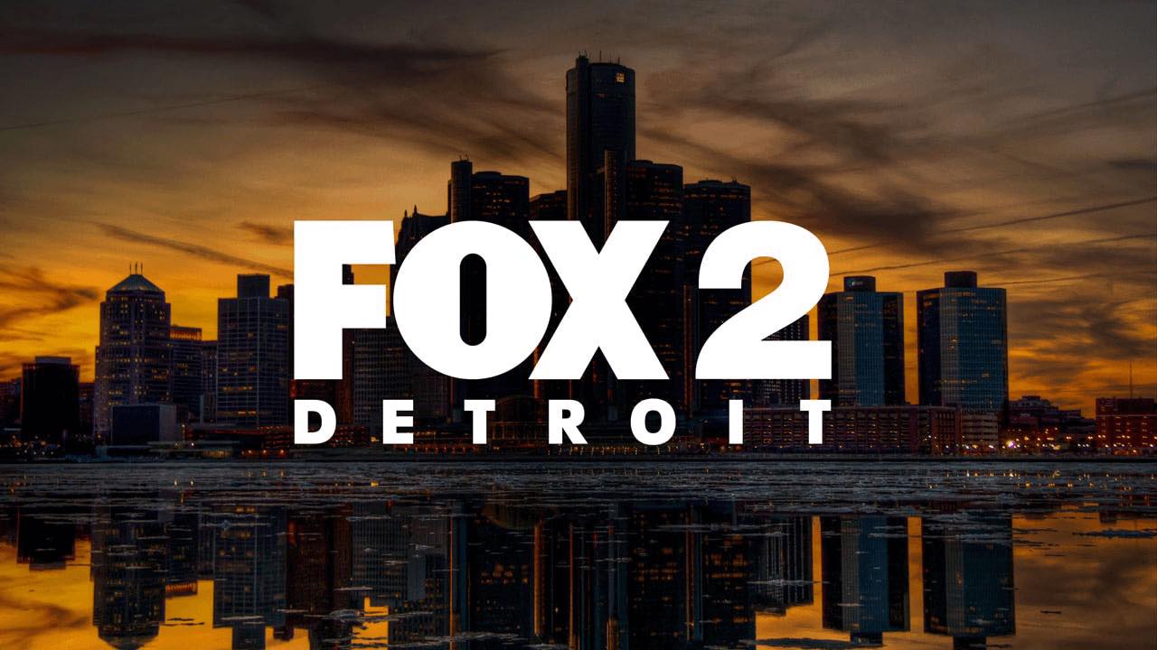 DOG BITE: 10-Year-Old Bitten,... - The Detroit Scanner | Facebook