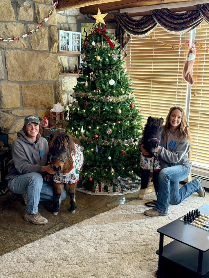 Blue Rose Ranch Horse Rescue & Adoption