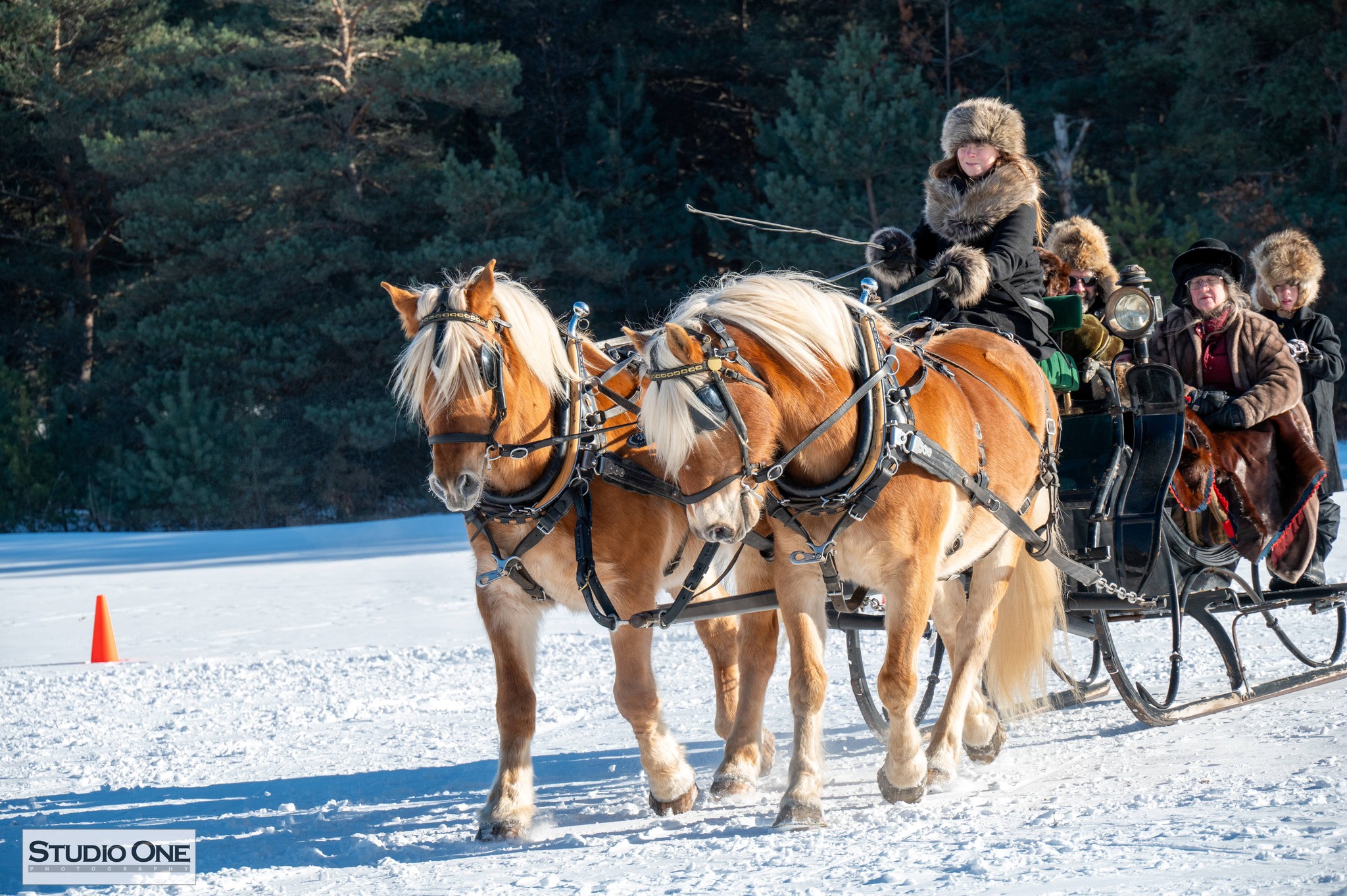 Sleigh and Cutter Rally