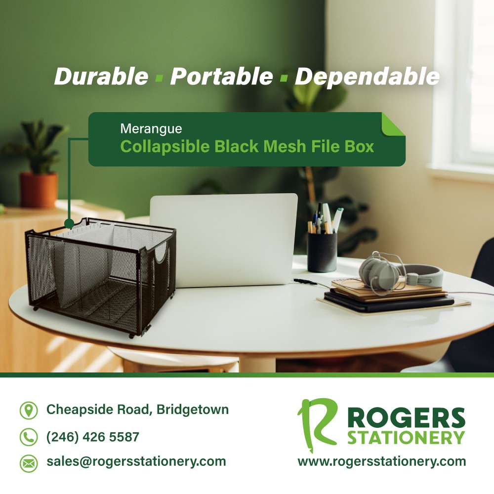 Rogers - 🗂️Keep it neat. Keep it smart. The Merangue Collapsible Black ...