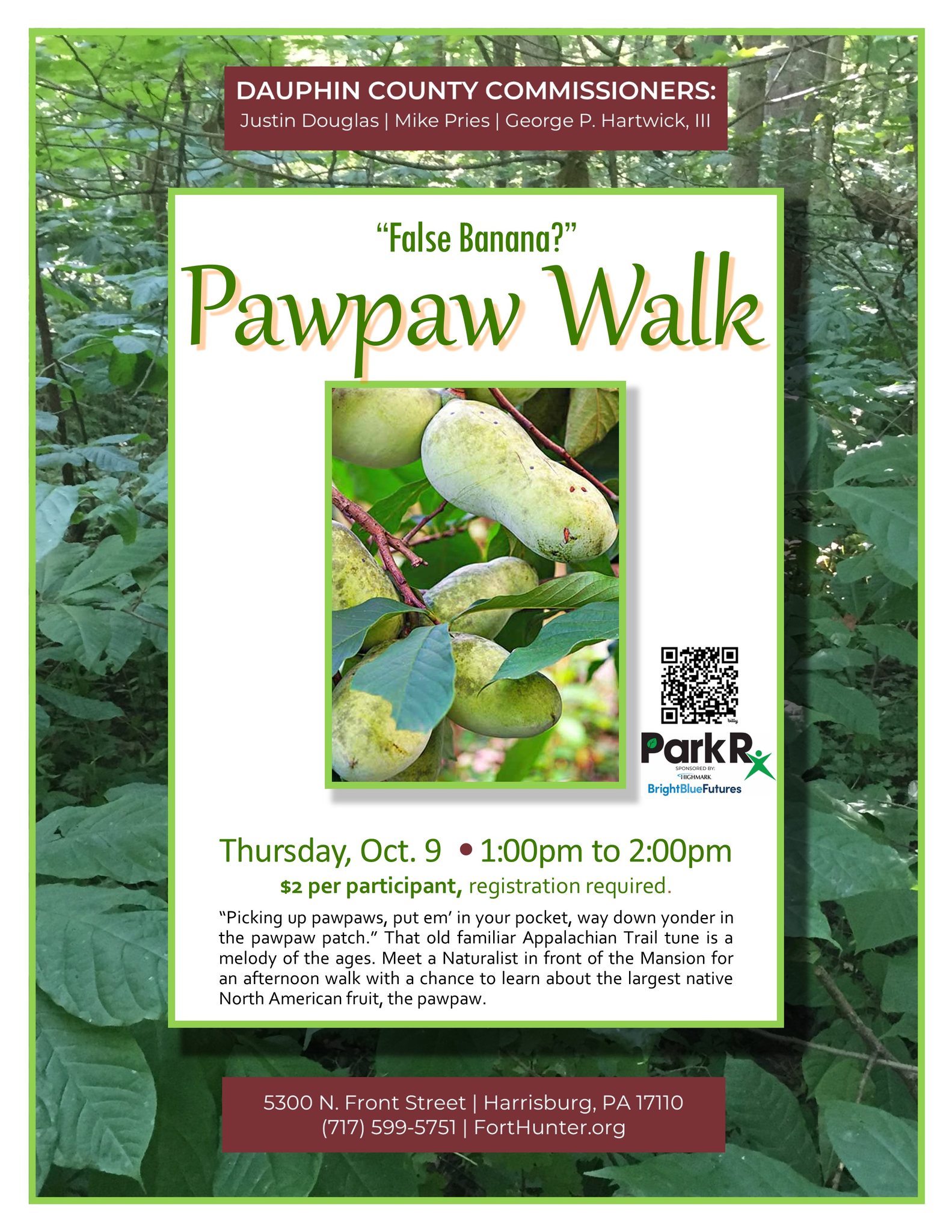 Join a Naturalist at... - Dauphin County Parks & Recreation | Facebook