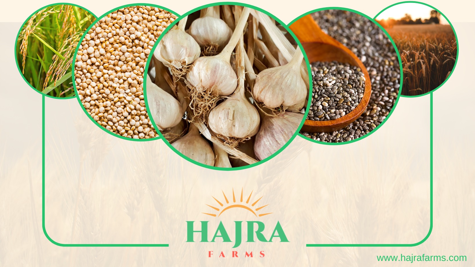 Hajra Farms | Narowal