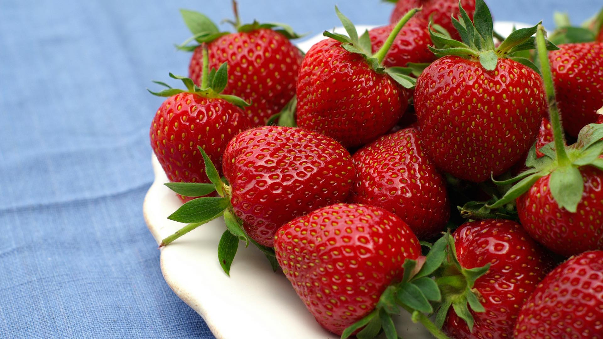 Orono - Starting today at Orono Farmers Market we have farm fresh and ...