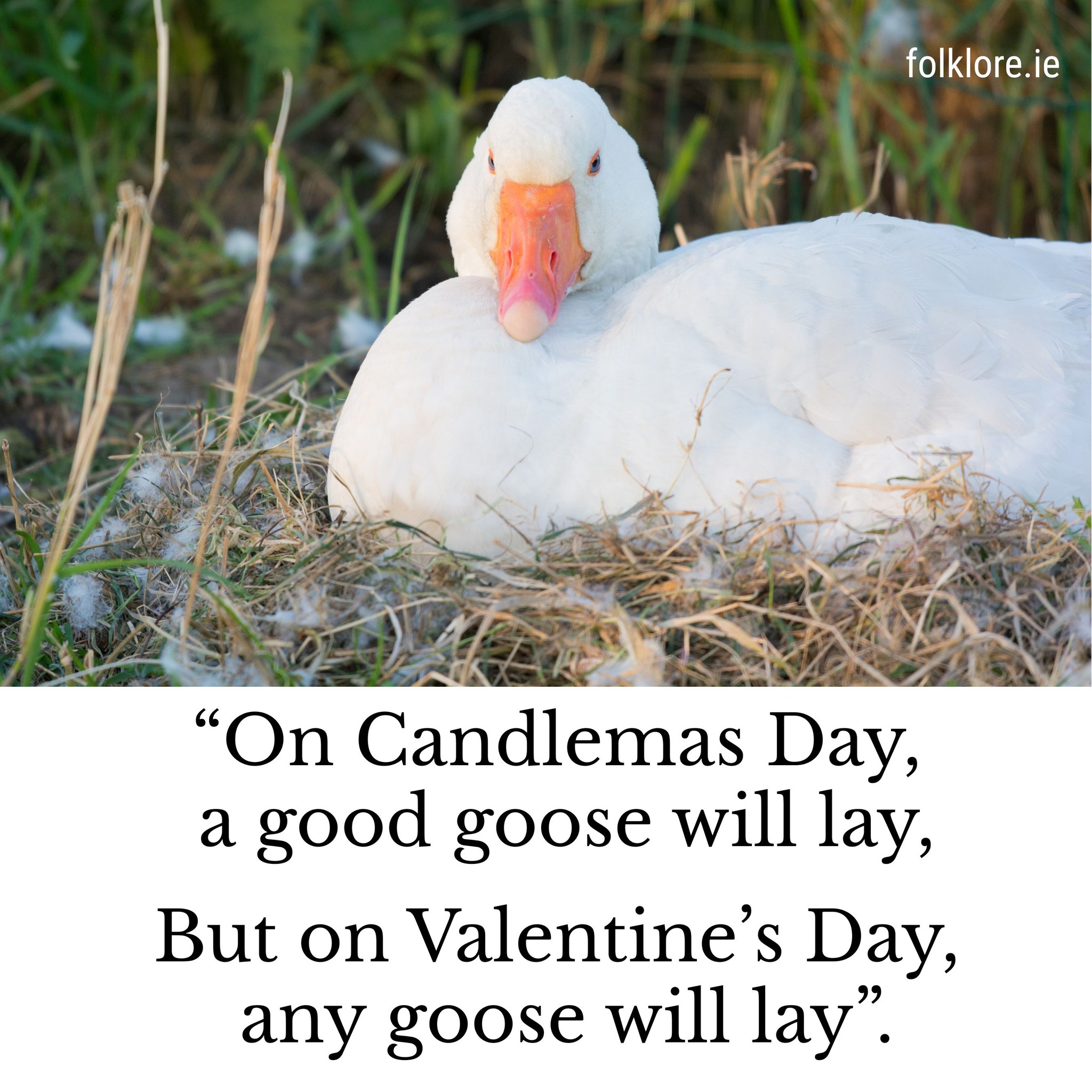 folklore.ie - Here is a little verse that a woman from... | Facebook