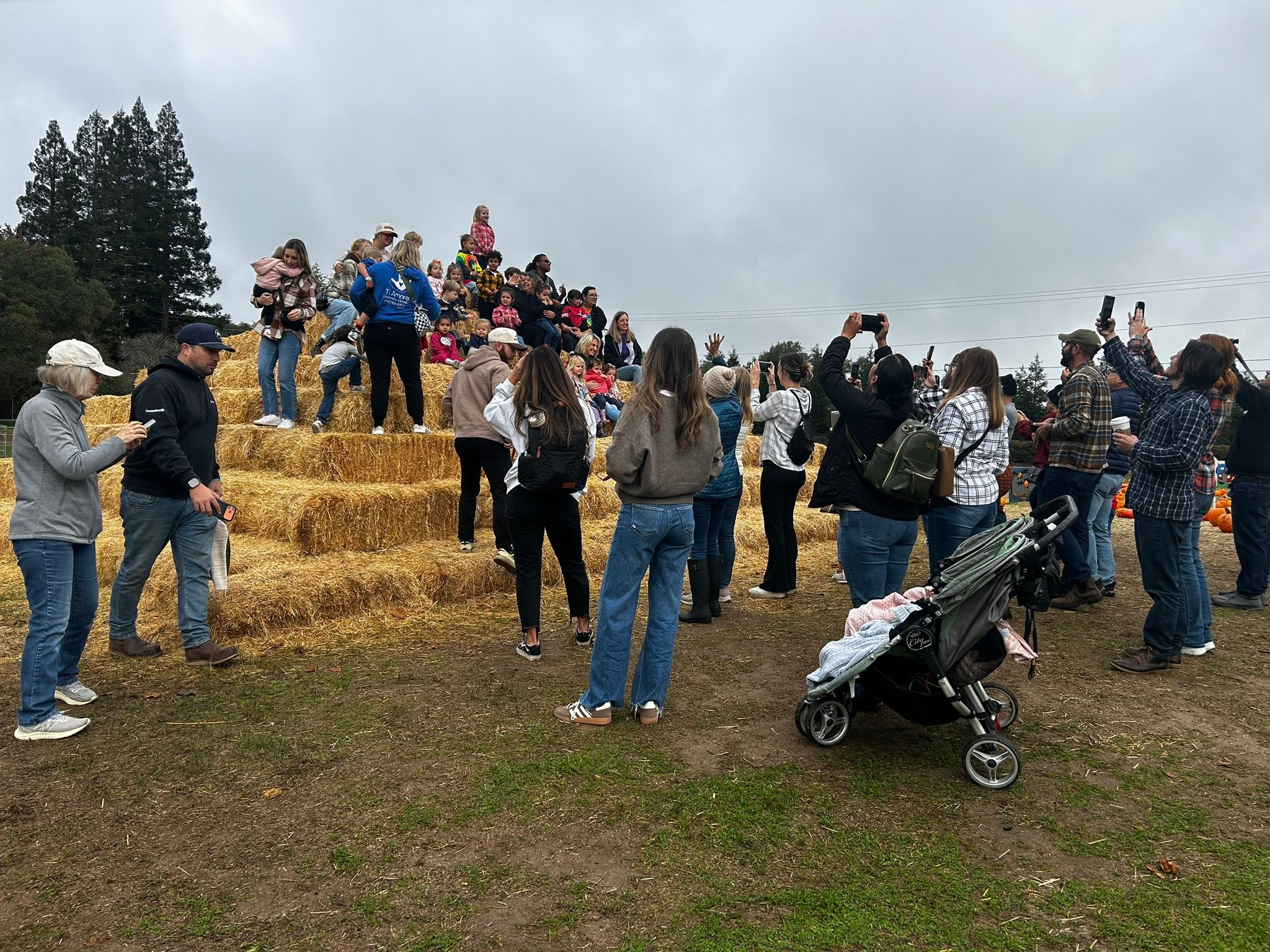 Rickey Ranch Pumpkin Patch | Granite Bay CA