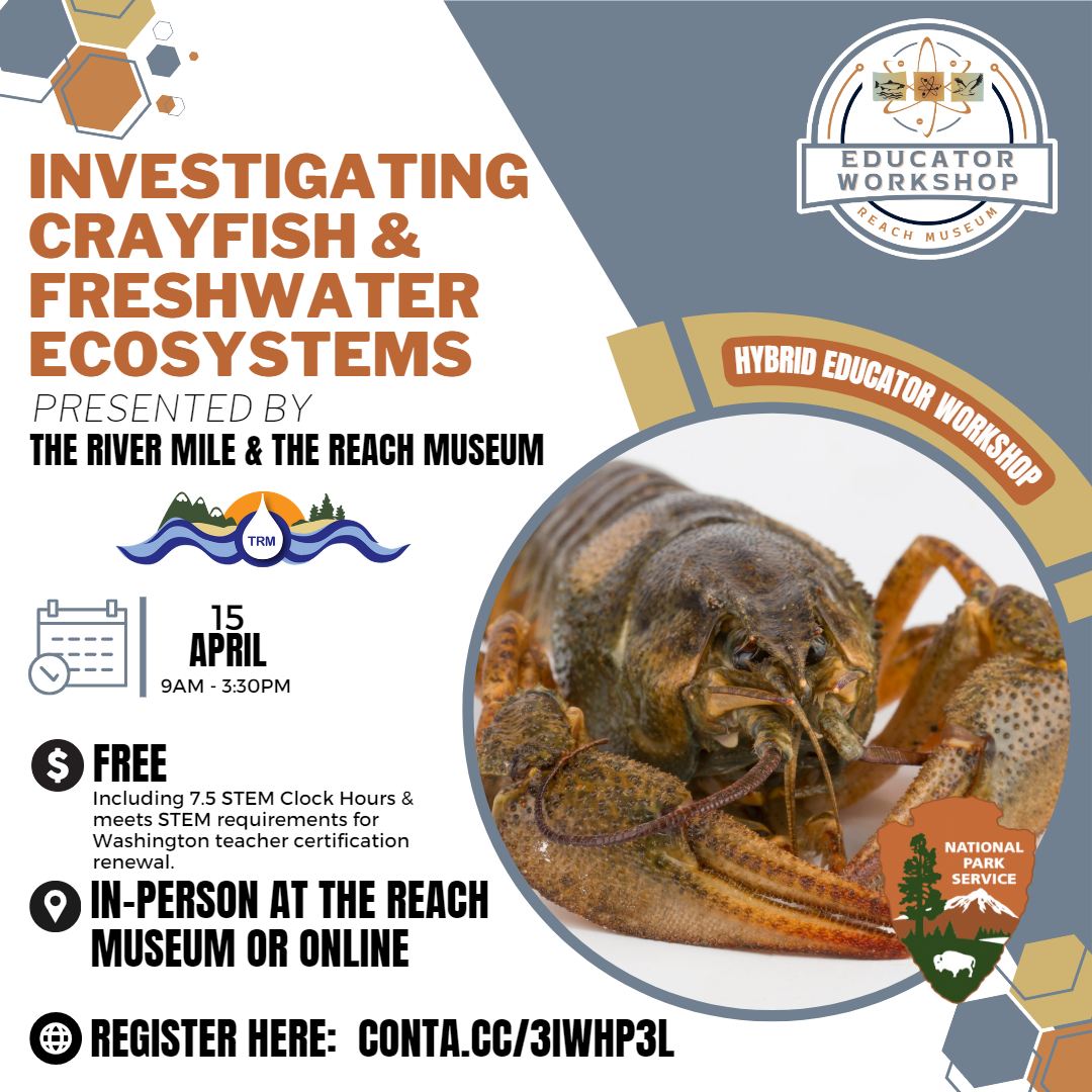 REACH Museum - Crayfish can teach us about the freshwater...