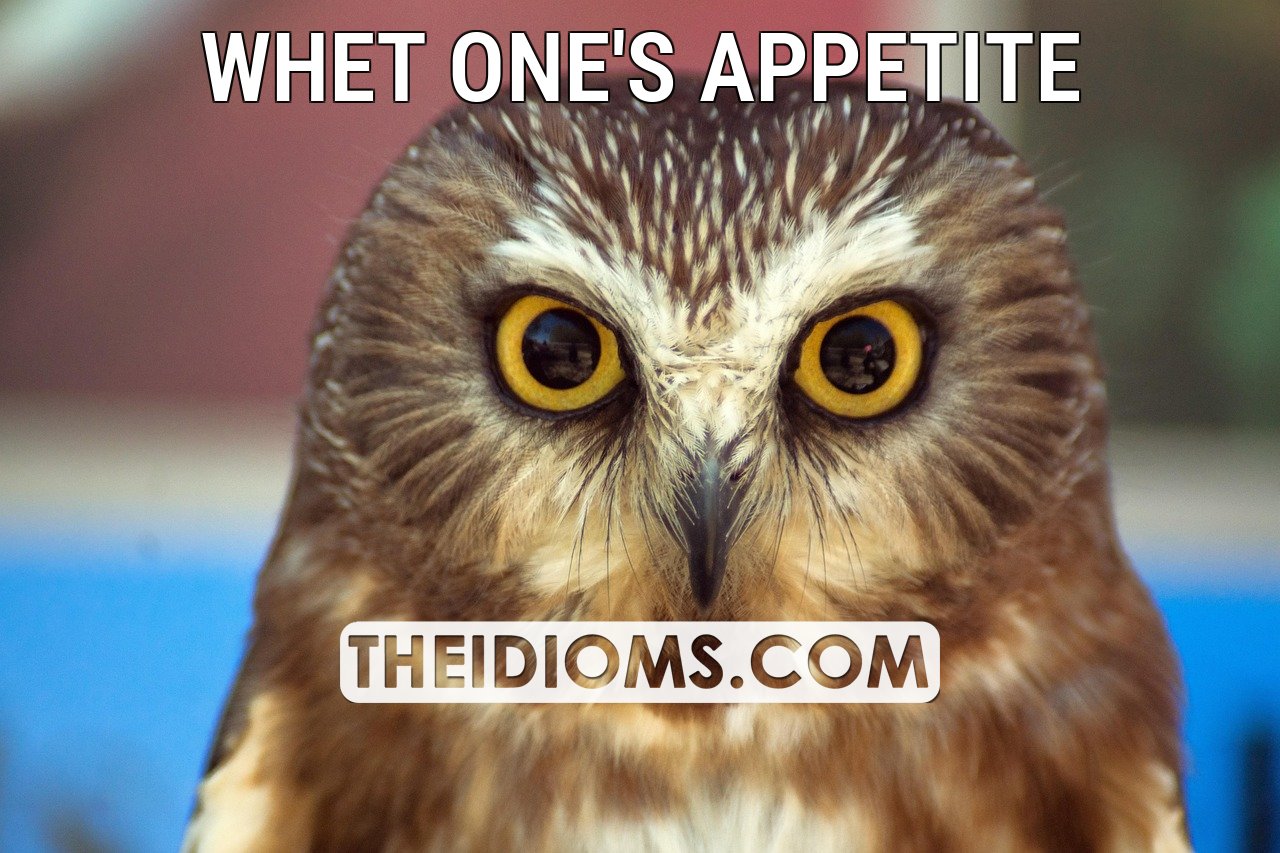 Idioms - WHET ONE’S APPETITE: Meaning: to increase someone's interest ...