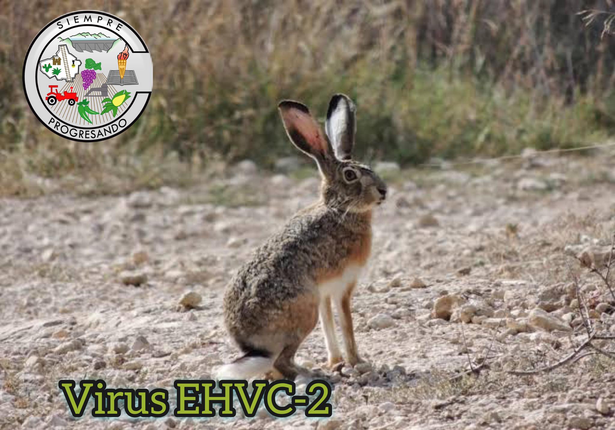 La #EHVC-2 es una... - Gobierno Municipal de Cosio, Ags