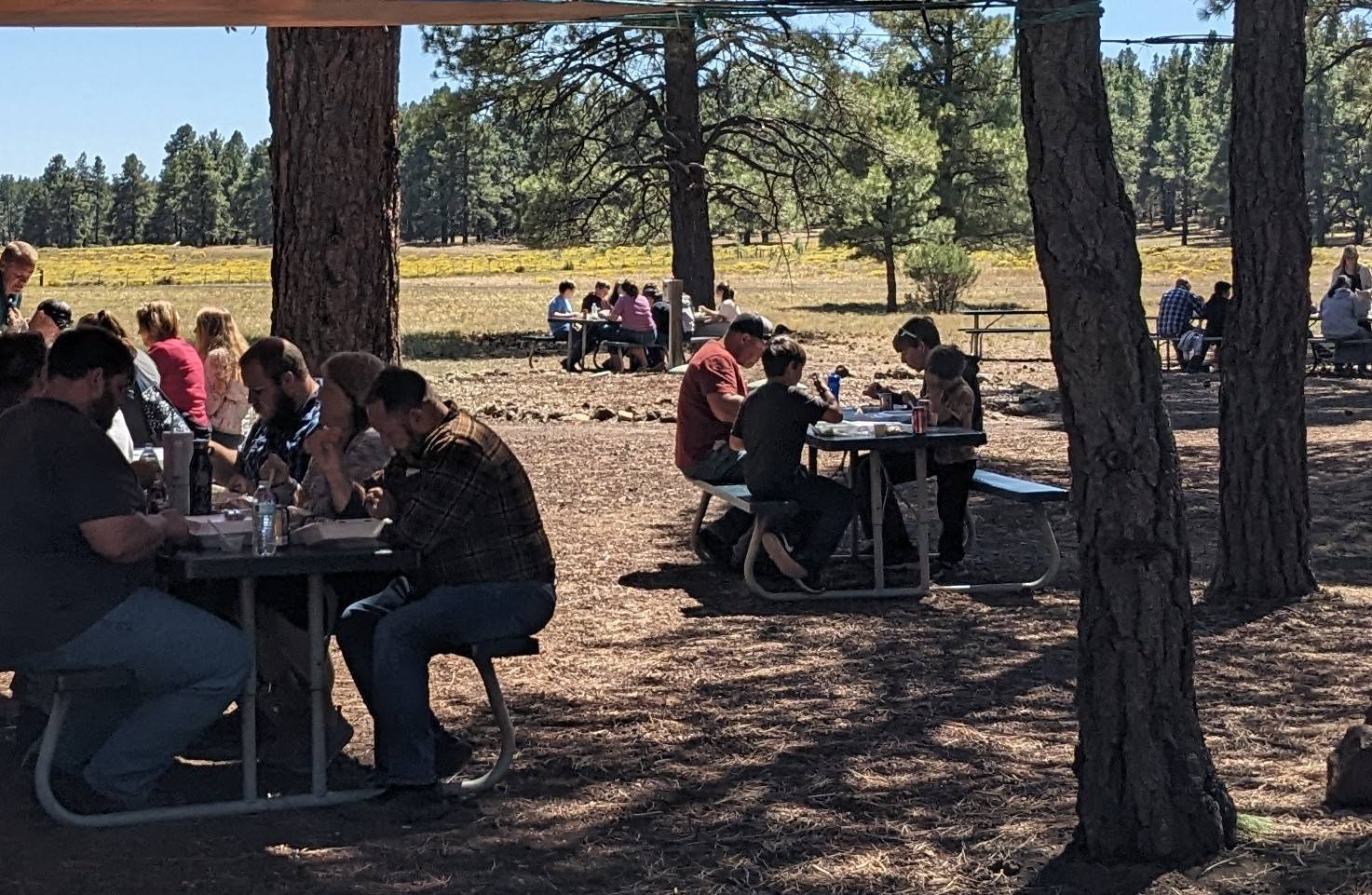 West Branch of the Bill Rice Ranch | Williams AZ