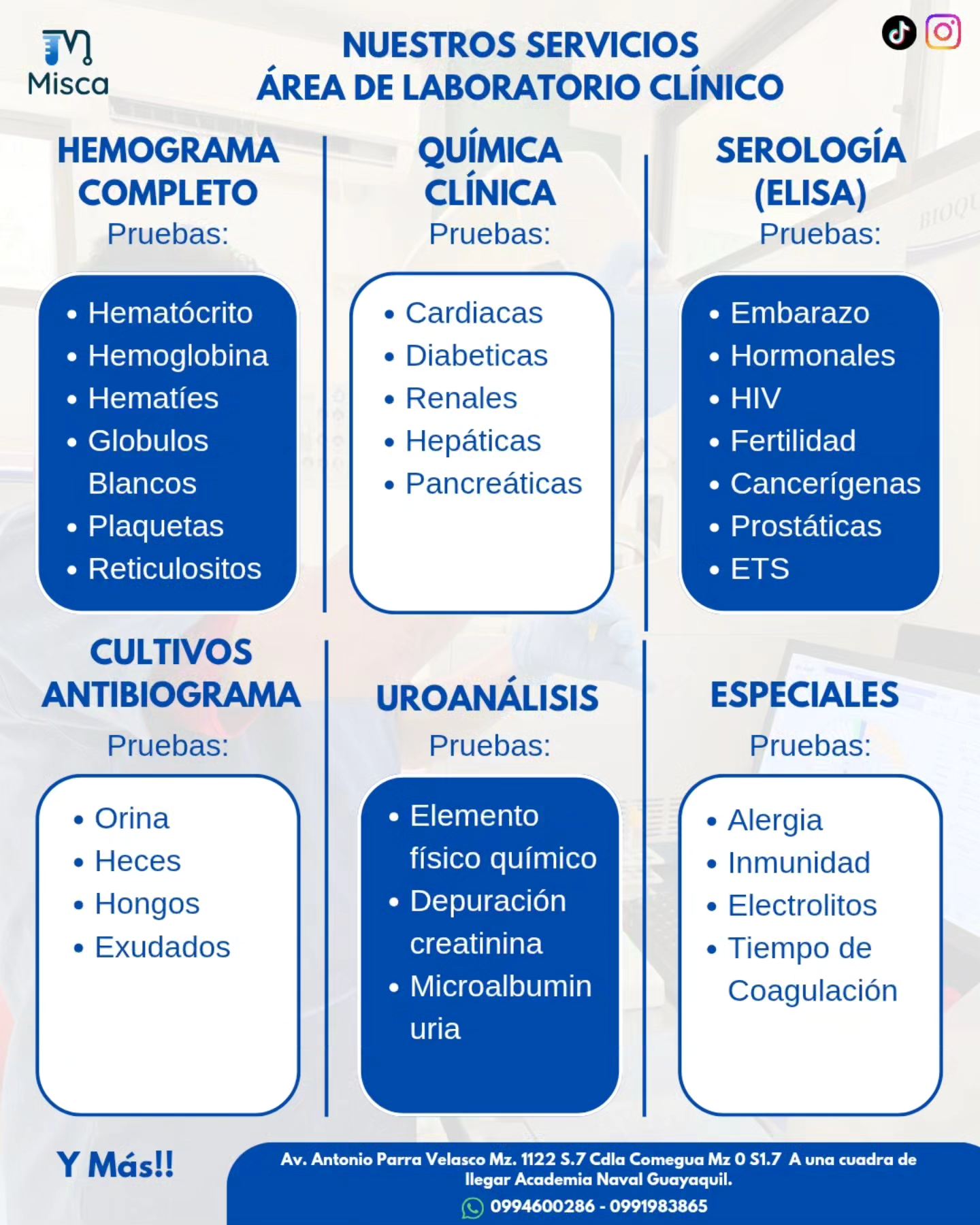 MISCA SALUD