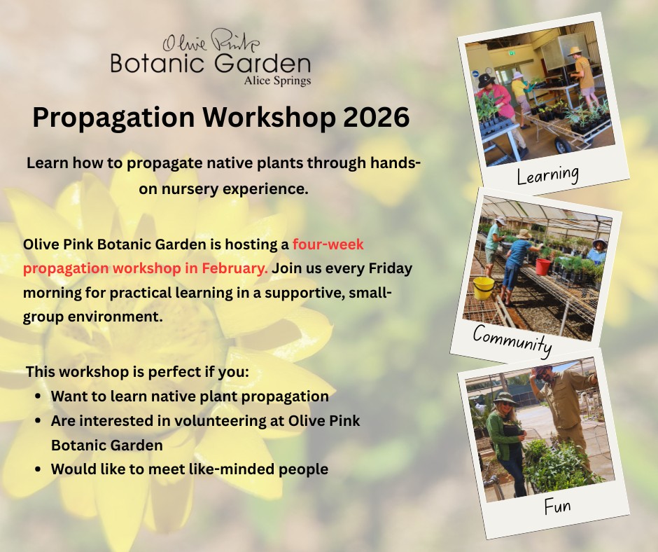 Olive - PROPAGATION WORKSHOP 2026 Get ready to grow with us! Join our 4 ...