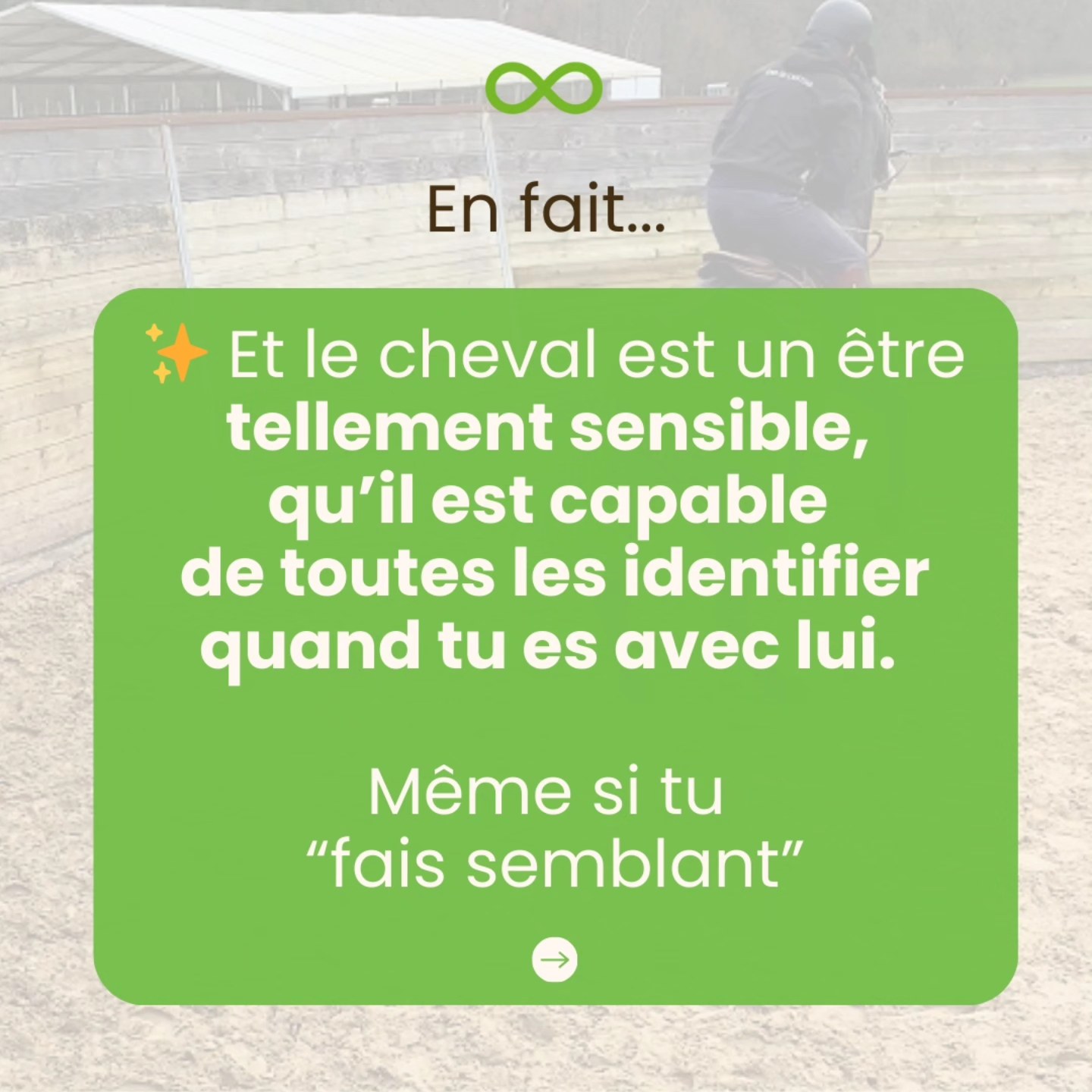 Manon Lippens de Cerf - Maréchal ferrant et Education du cheval | Durnal