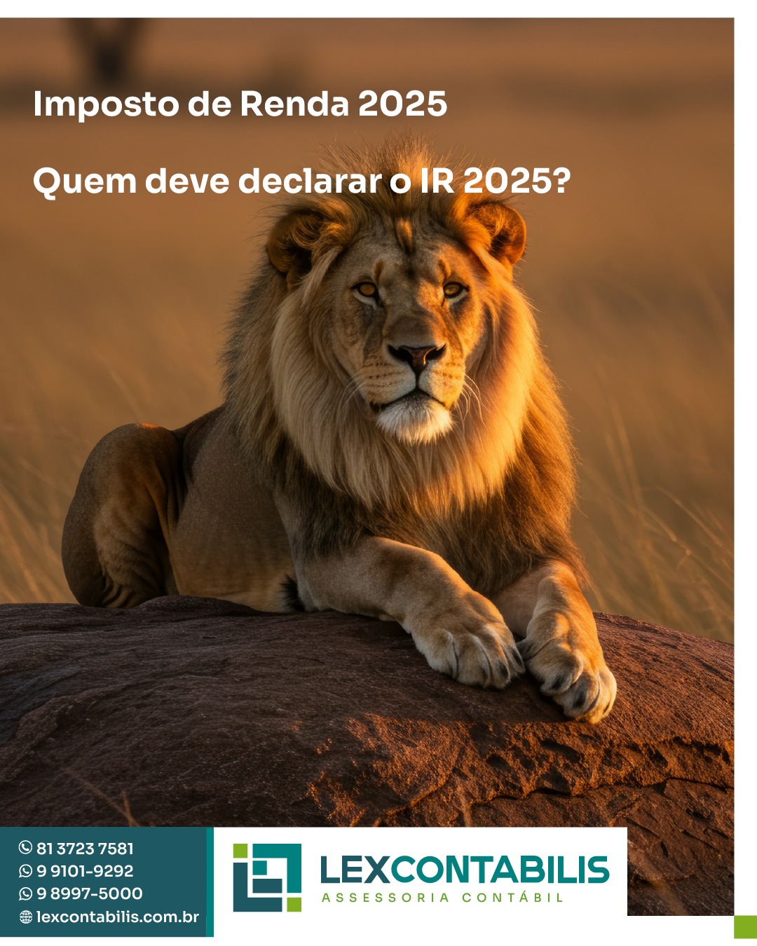 Lex - 🔍 Você precisa declarar o Imposto de Renda em 2025? Nem todo ...