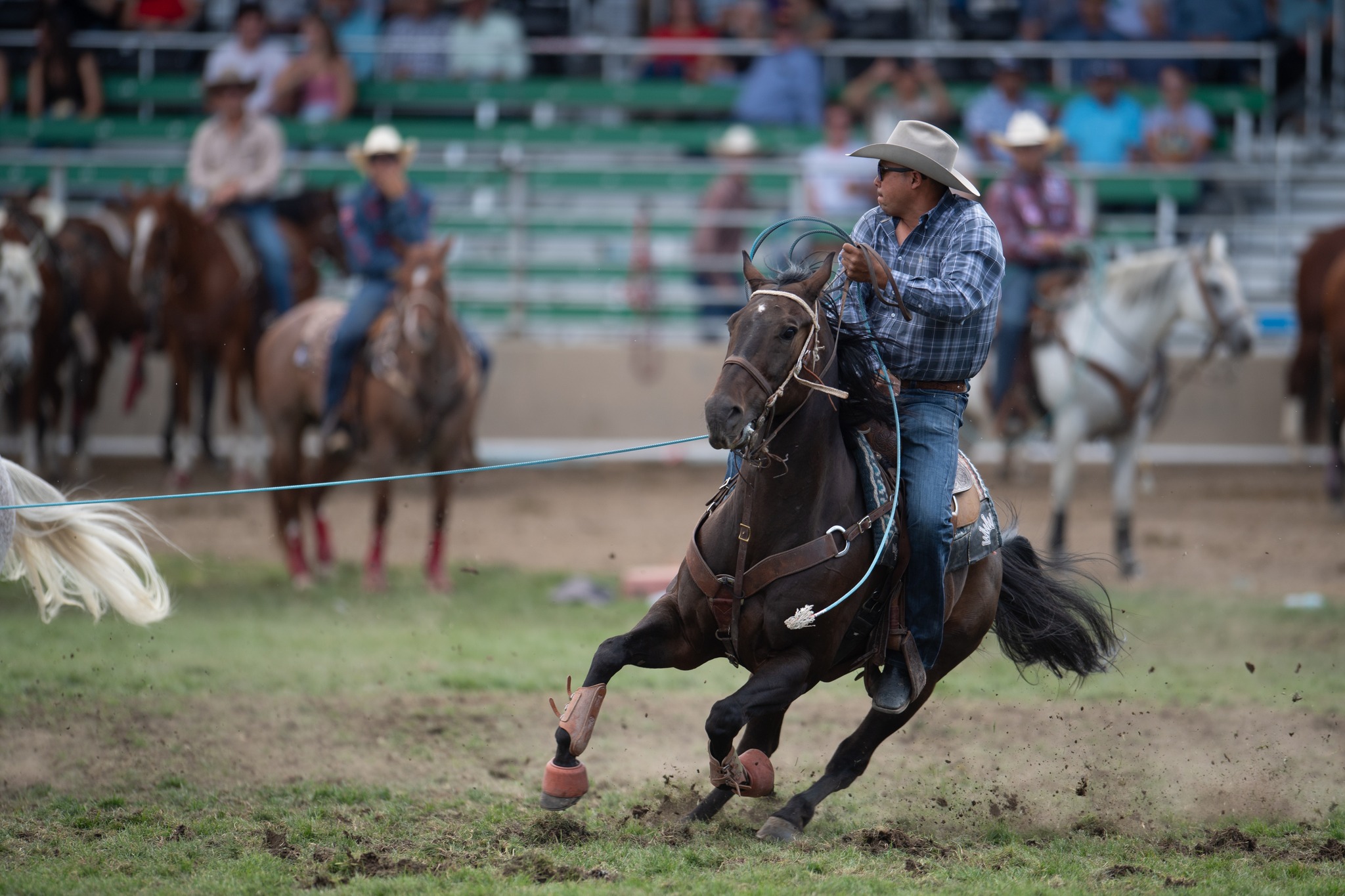 The Team Roping Journal Magazine - 𝐌𝐞𝐞𝐭 𝐁𝐋𝐀𝐂𝐊 𝐁𝐄𝐓𝐓𝐘 Resistol’s Trey ...