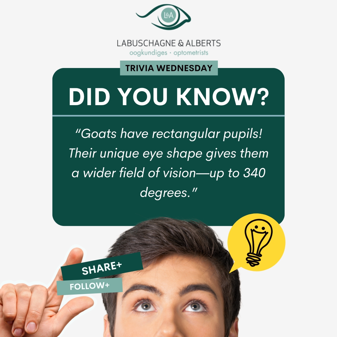 Labuschagne - 🔍 Did you know? Goats have rectangular pupils! 🐐👀 This ...