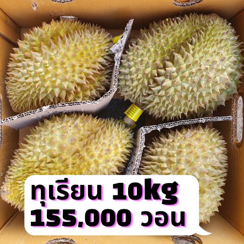 Kmall Thailand - ทุเรียนหมอนทอง เกรดพรีเมี่ยม... | Facebook