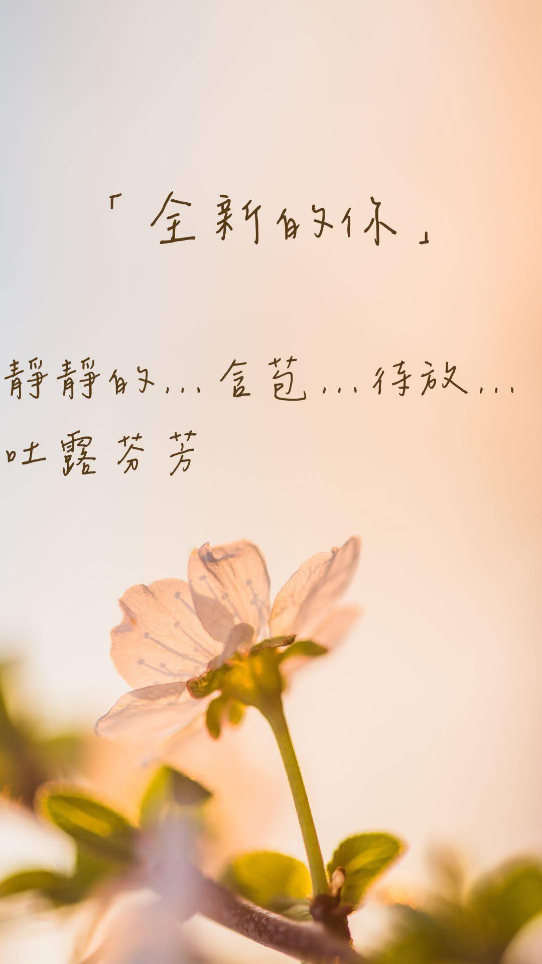Celebrate Recovery Chinese 全新的你 USA